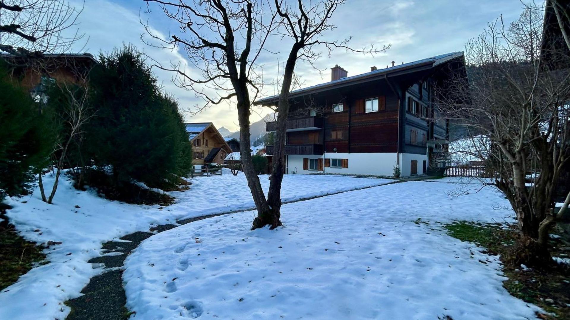 Gstaad Luxurious flat with terrace stunning views