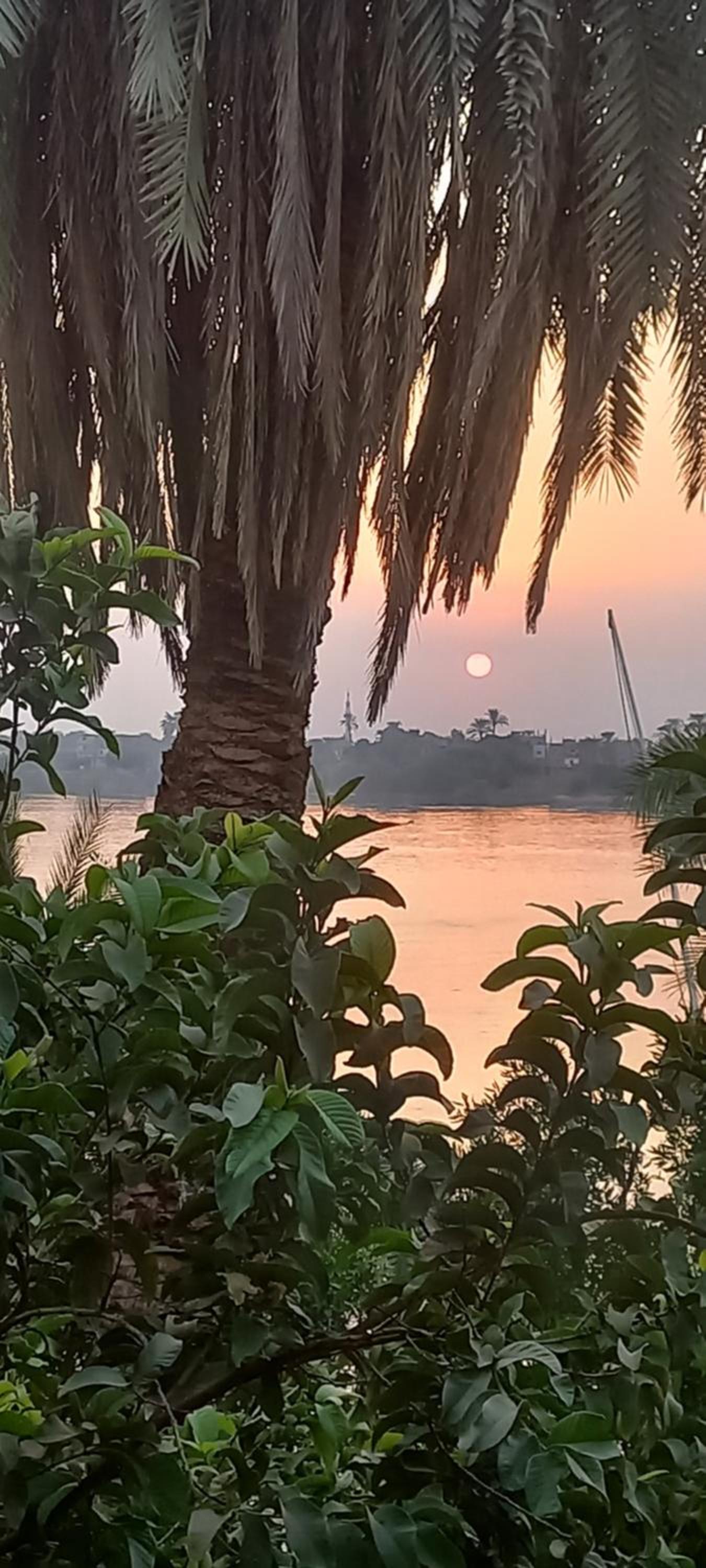 Villa Rose-Luxor