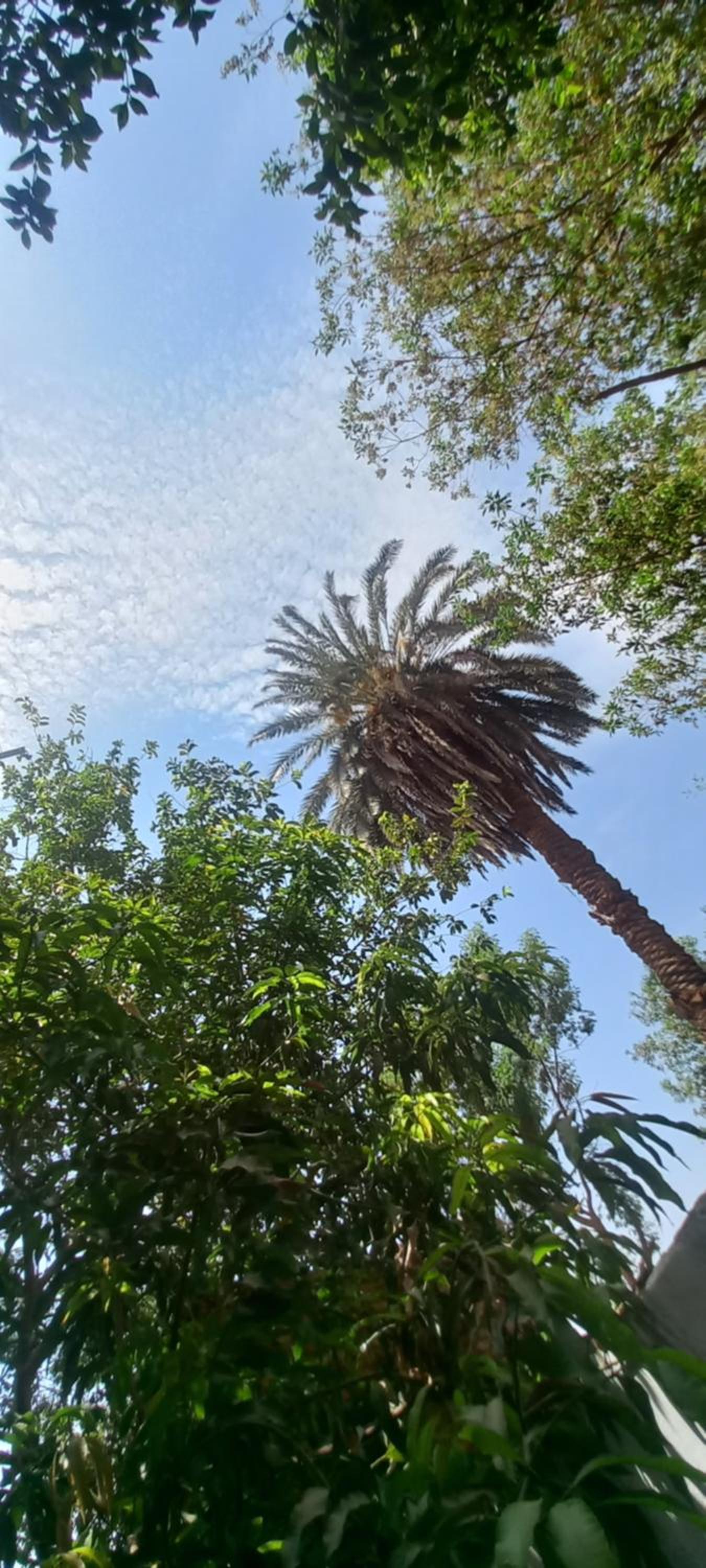 Villa Rose-Luxor