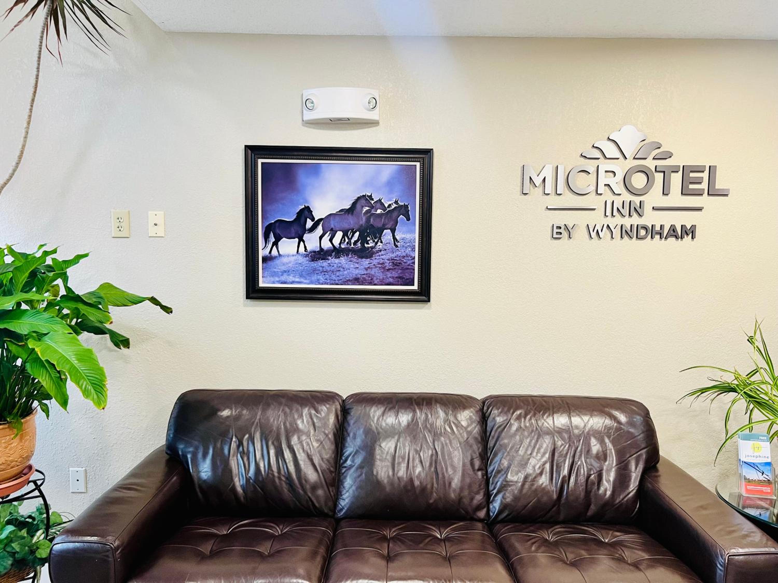 Georgetown Vacations - Microtel Inn Georgetown - Lexington North - Property Image 14