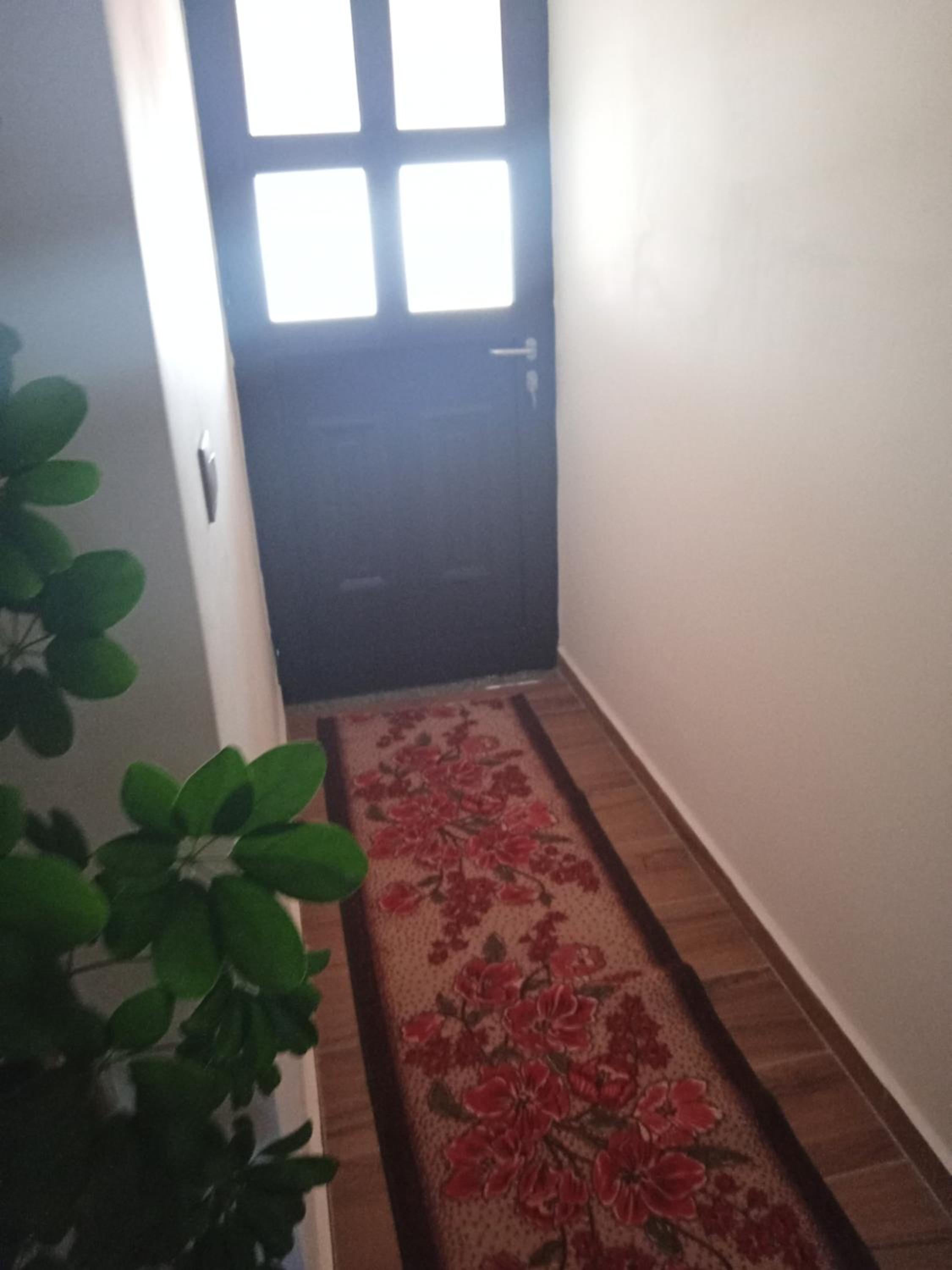 Vila Kamcishti