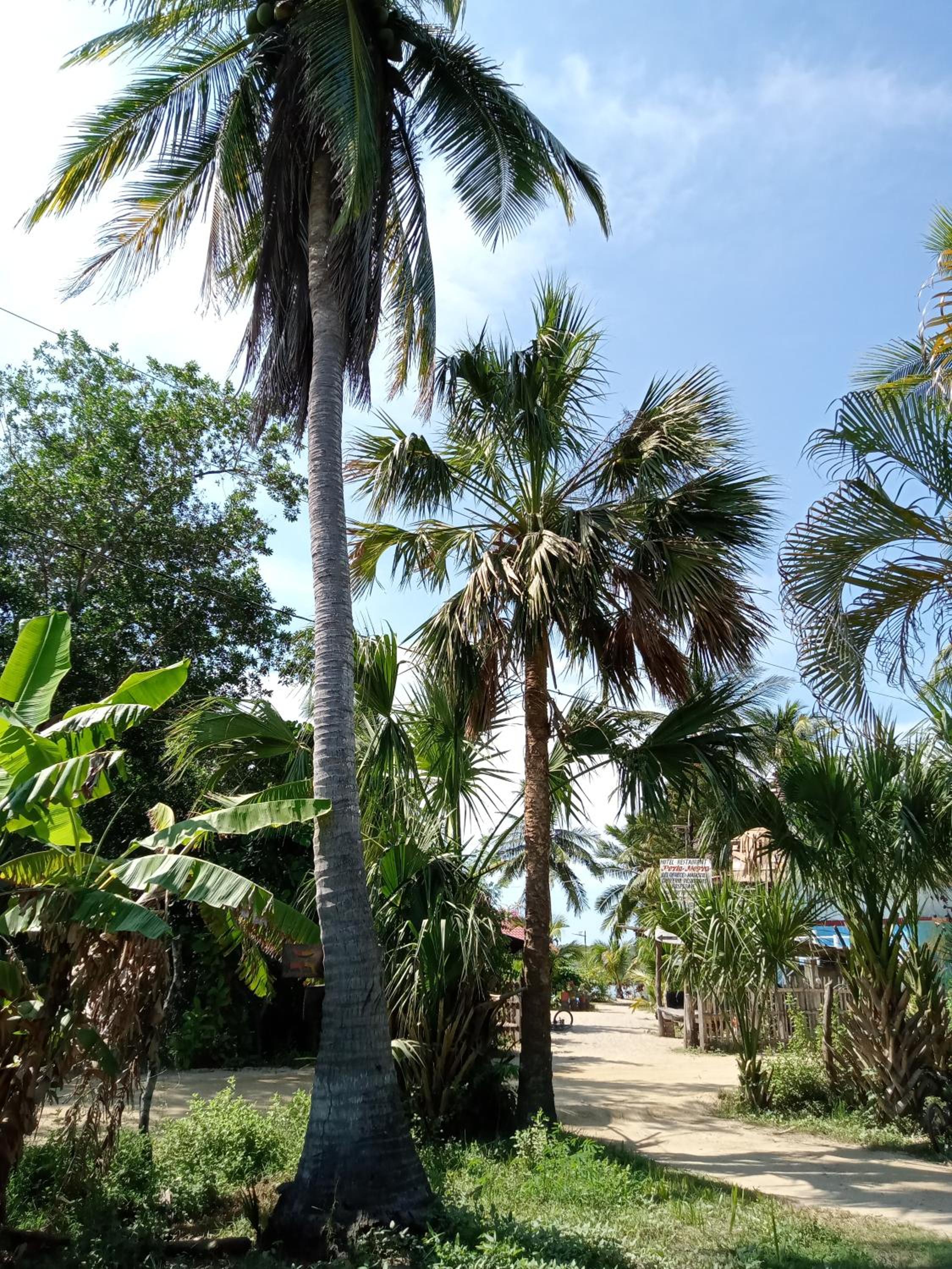 Cabañas doña Elba view 2