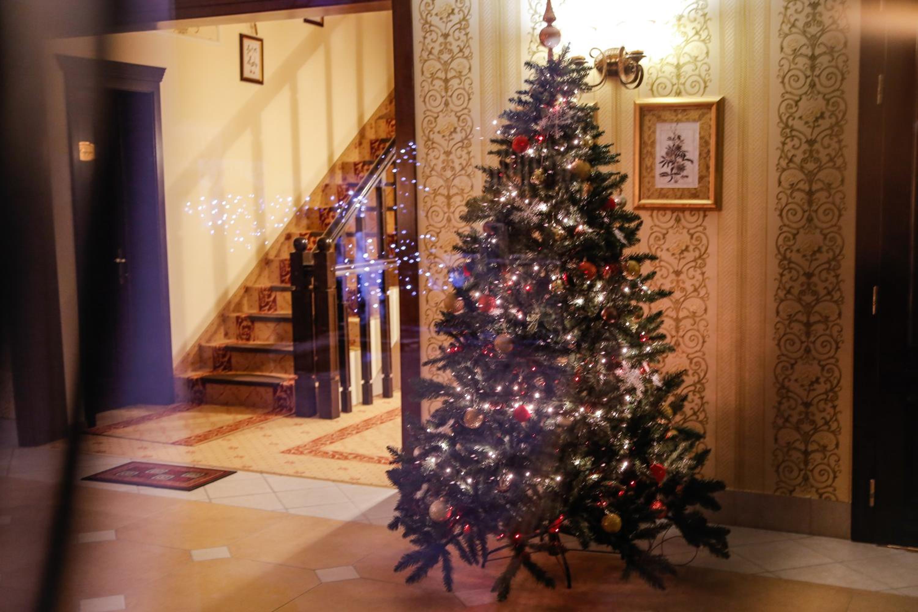 Photo 44