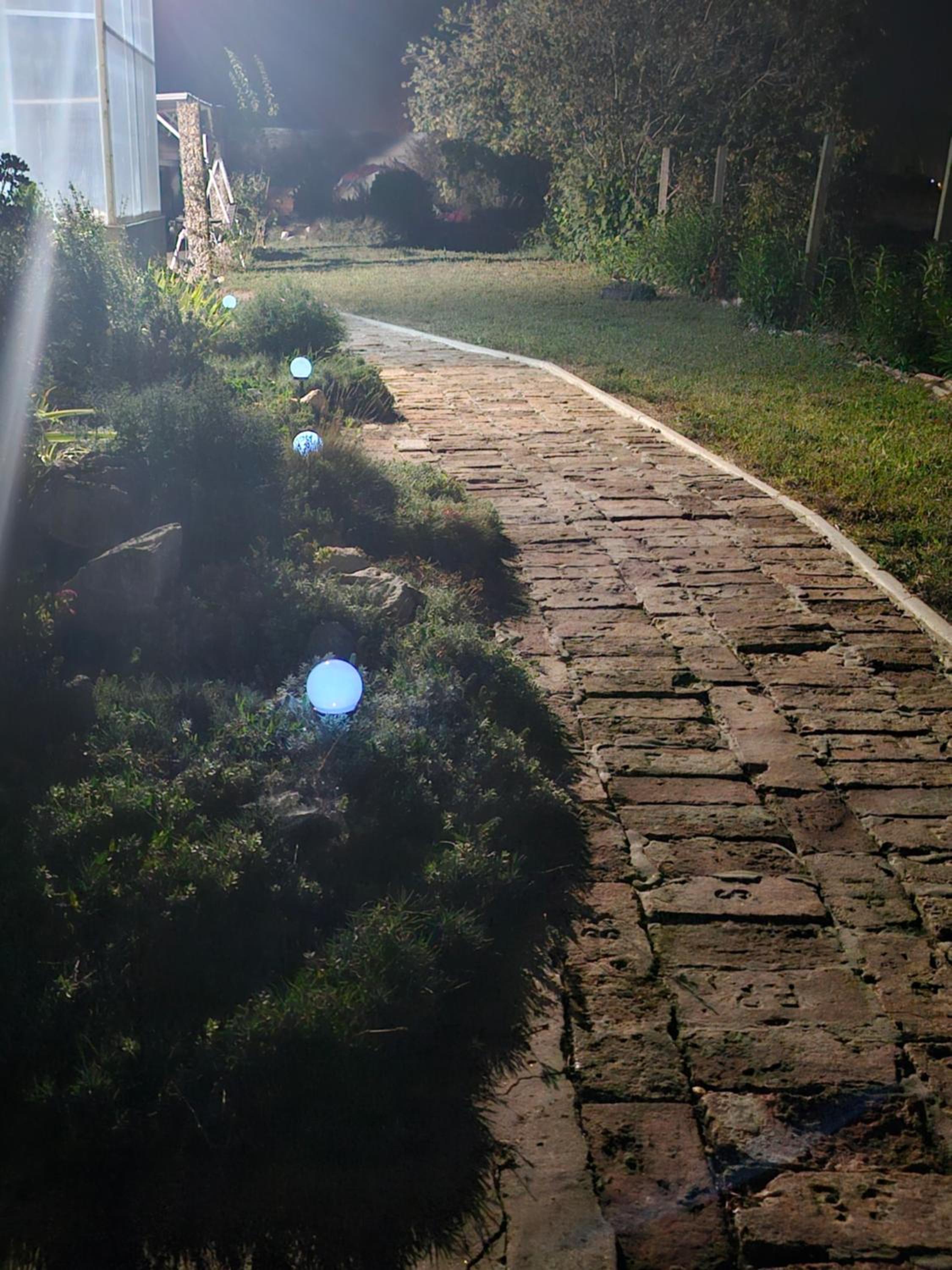 Photo 7