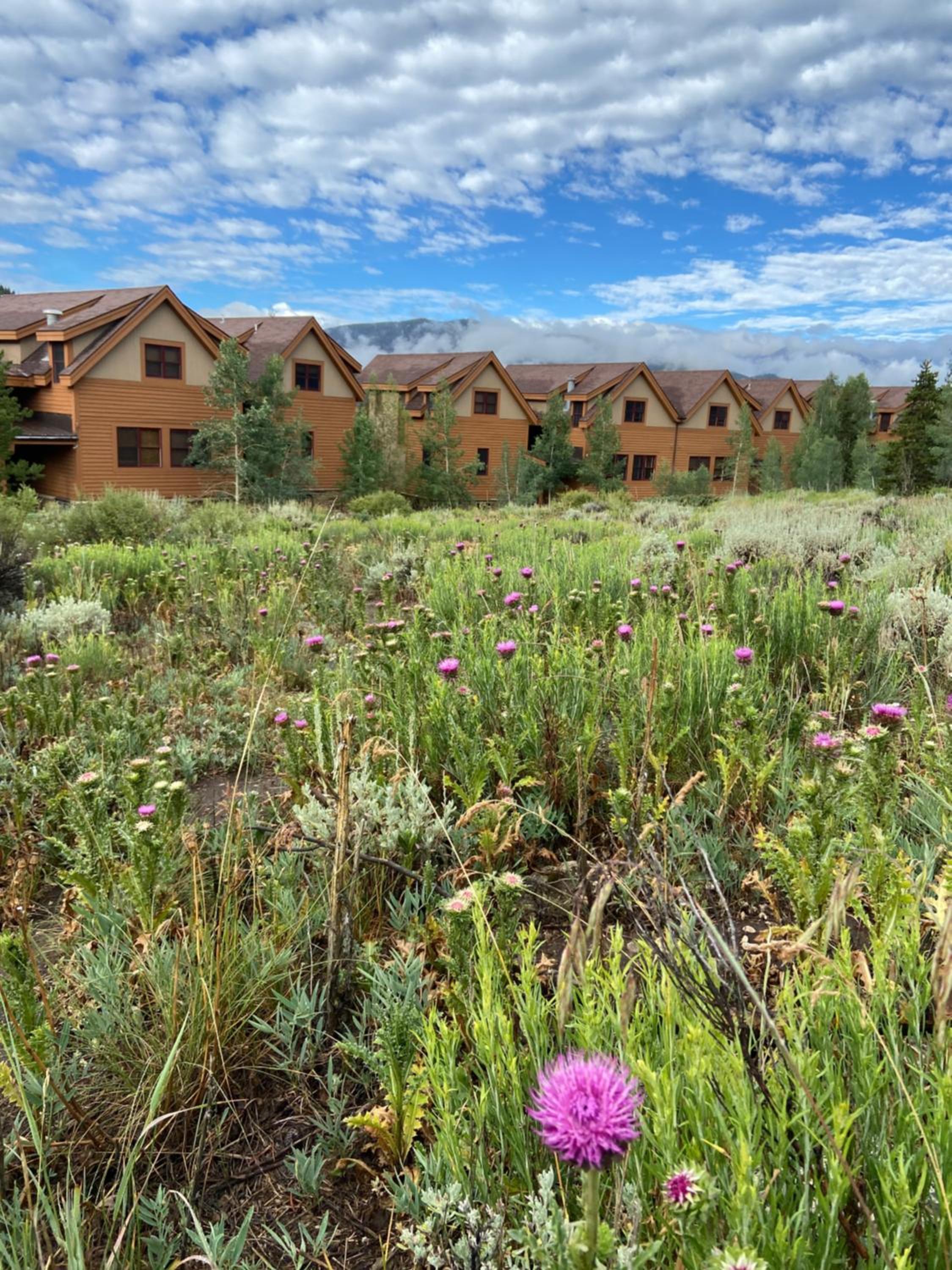 Antlers Gulch 303 by SummitCove Lodging