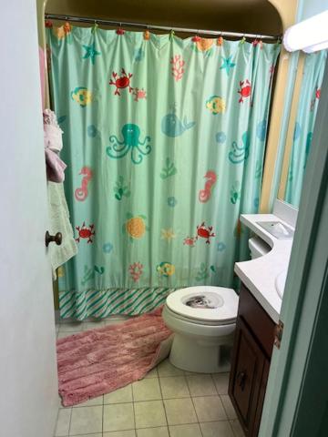 Photo 17