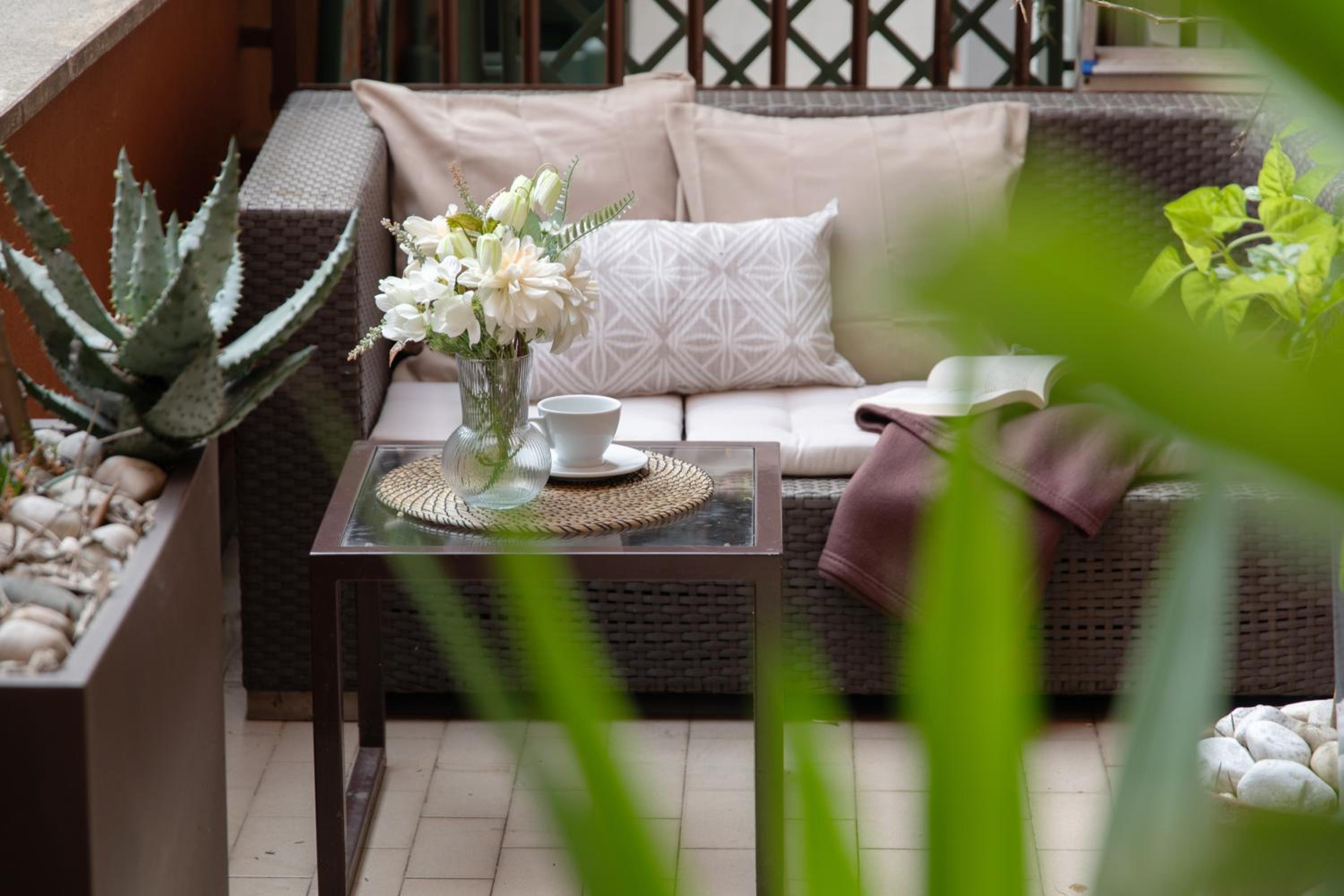 balance & terrace