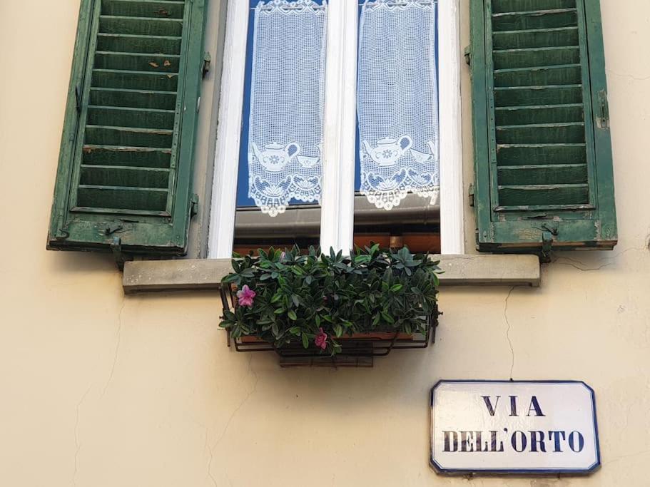 Charming Garden in Florence