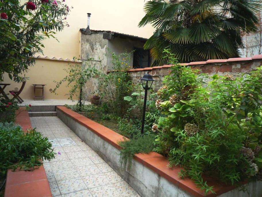 Charming Garden in Florence
