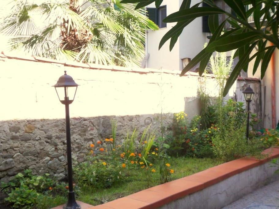 Charming Garden in Florence