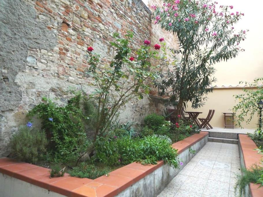Charming Garden in Florence