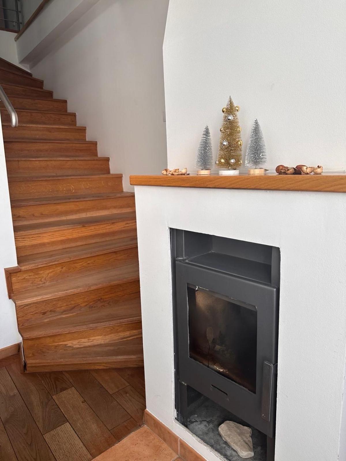 Vila Danin with free garage,Stari grad