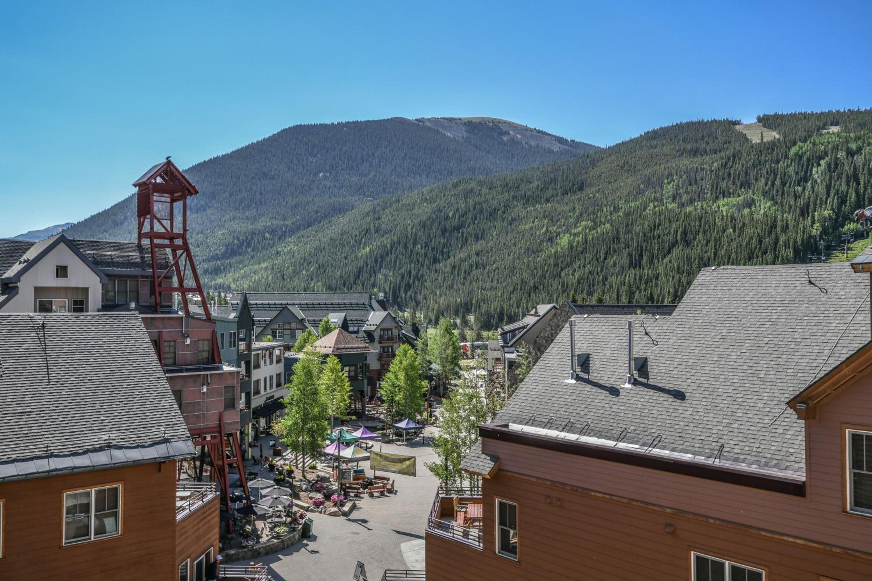 Buffalo Lodge 8419 by SummitCove Lodging
