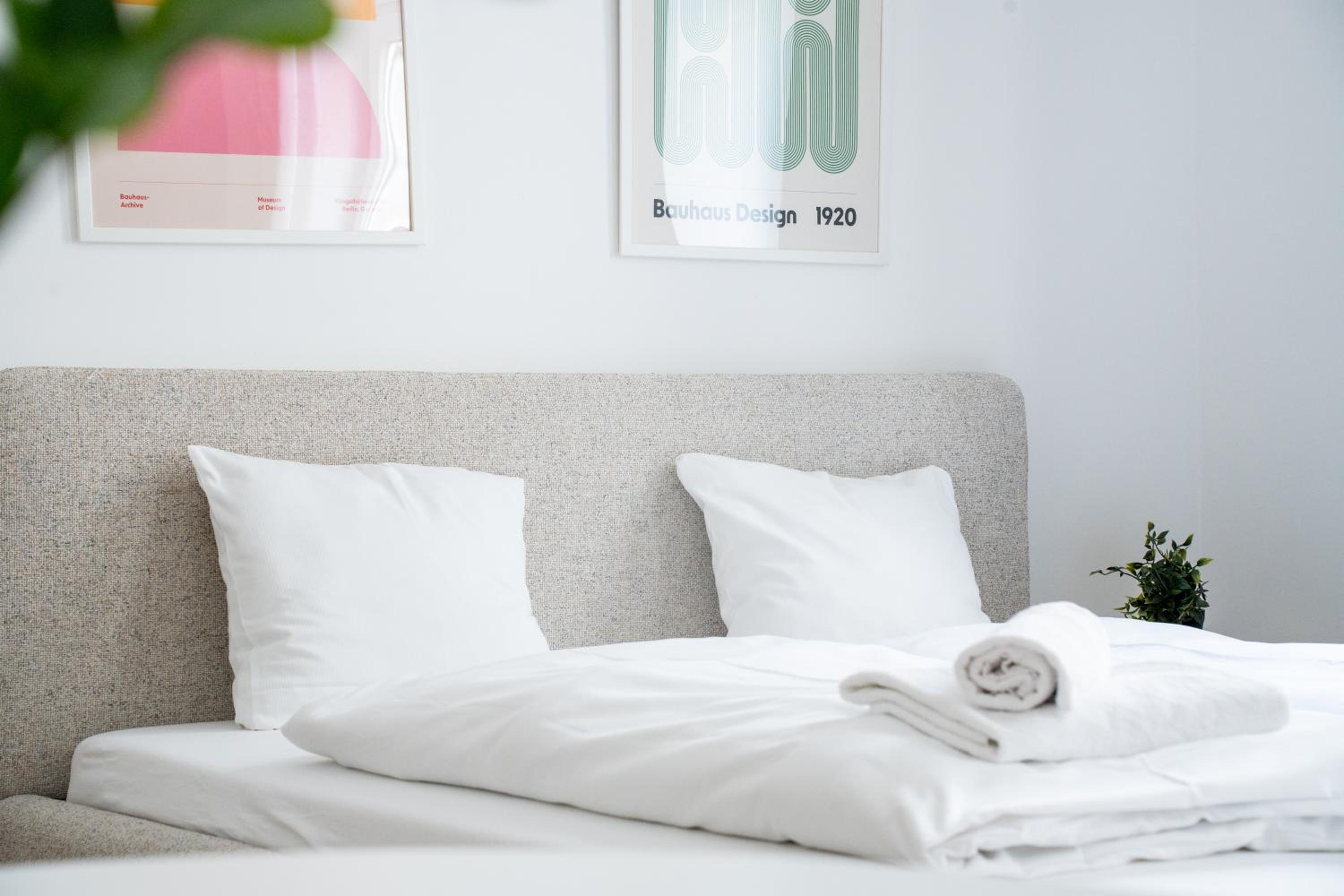 Franz-Josef City Apartment is Calling - by 4ty3 Apartments