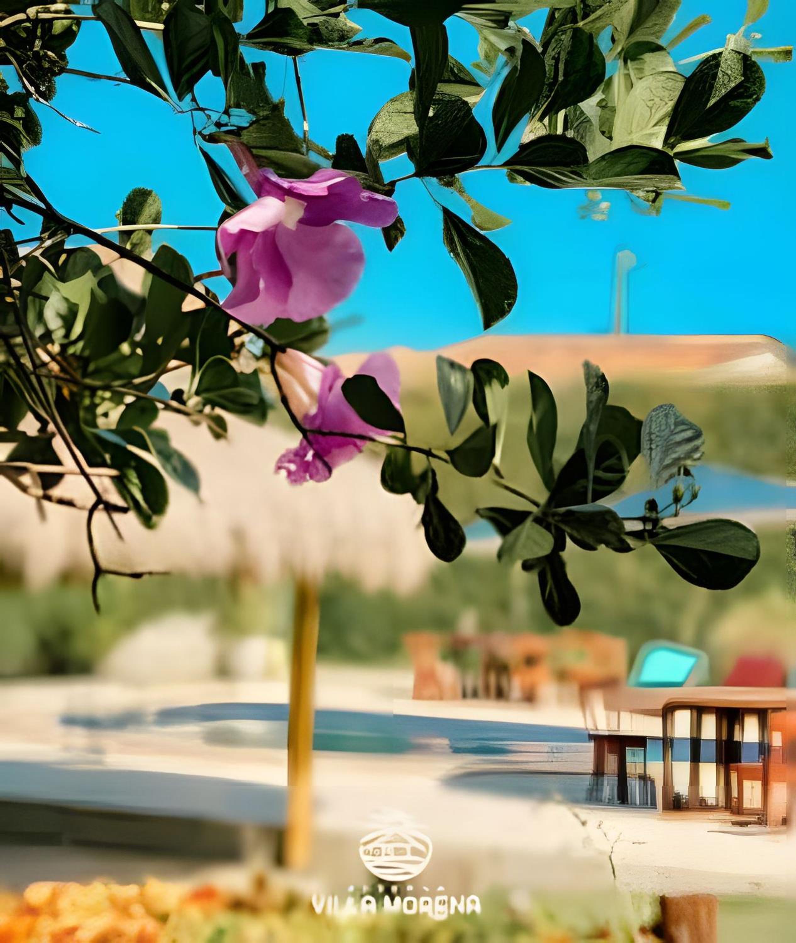 Pousada Villa Morena