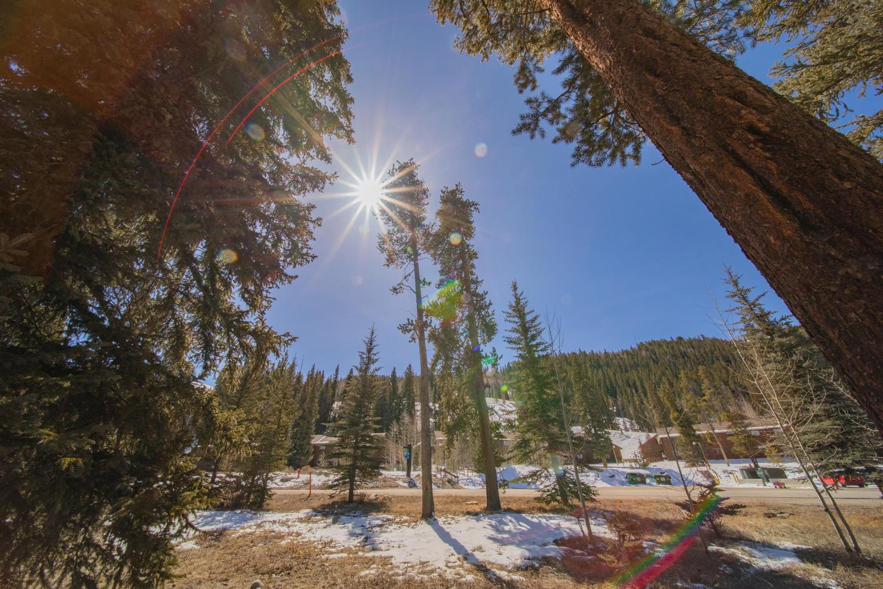Ironwood 2986 by SummitCove Lodging