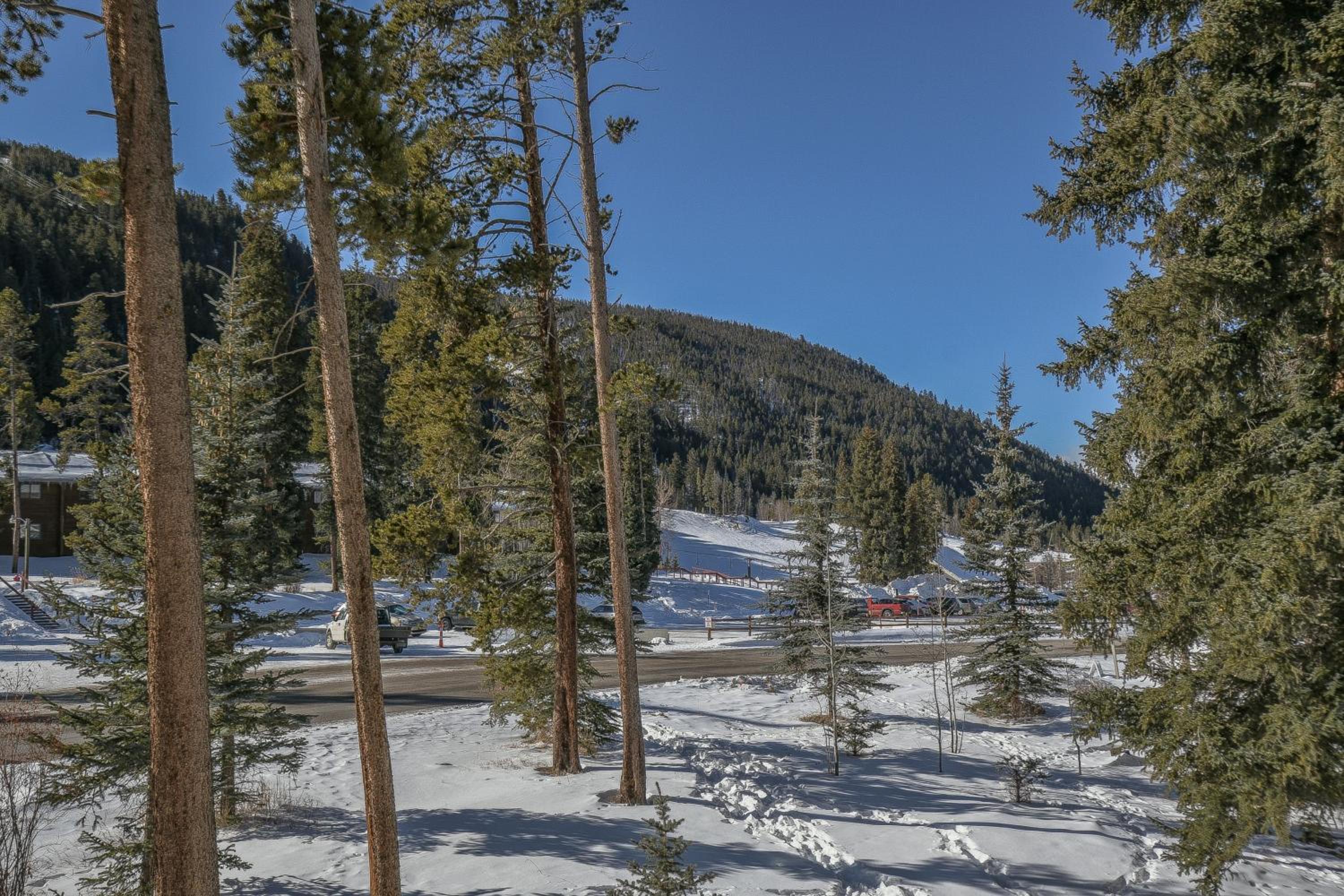 Ironwood 2988 by SummitCove Lodging