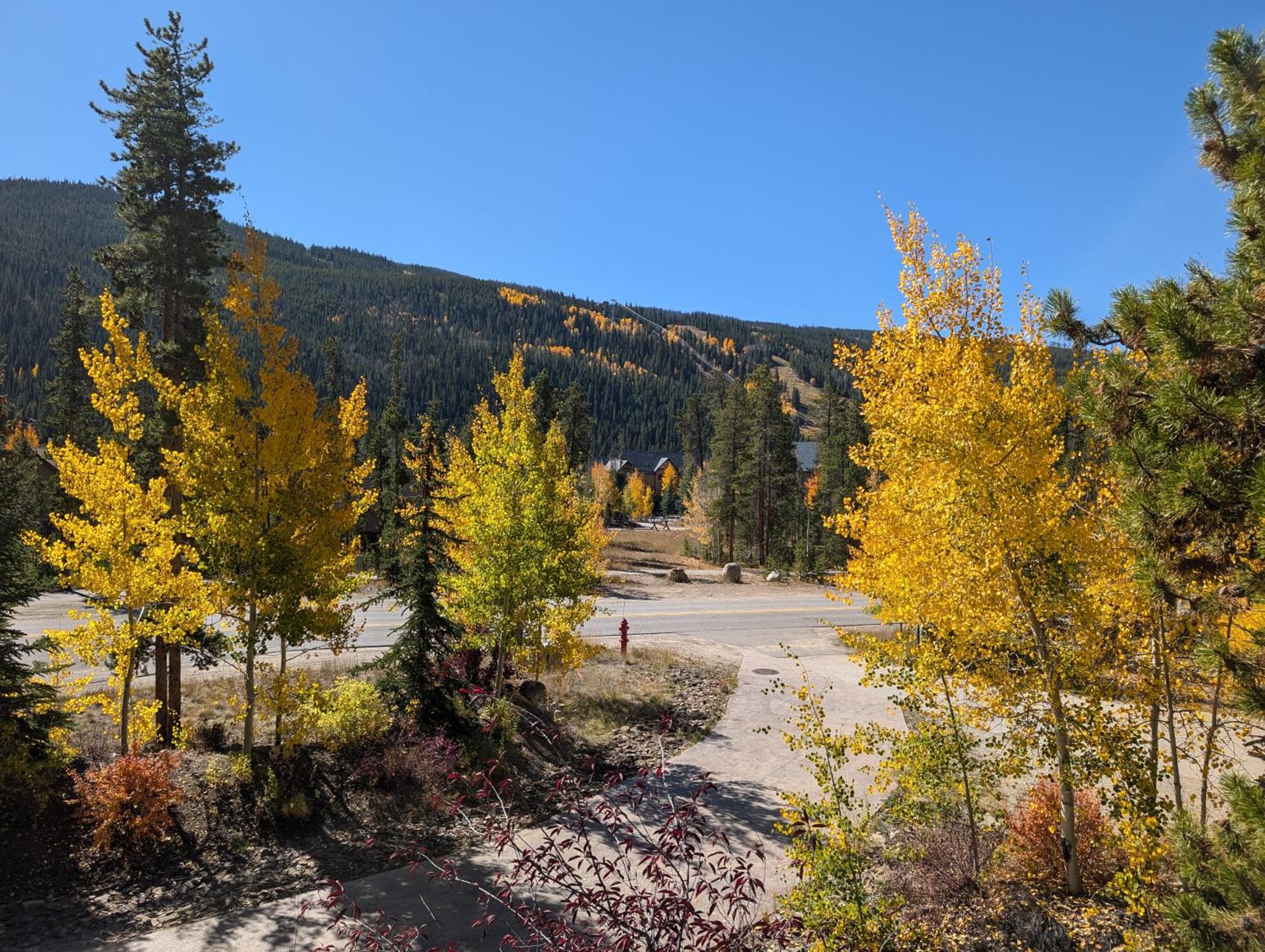 Keystone Prospectors Home 669 by SummitCove Lodging