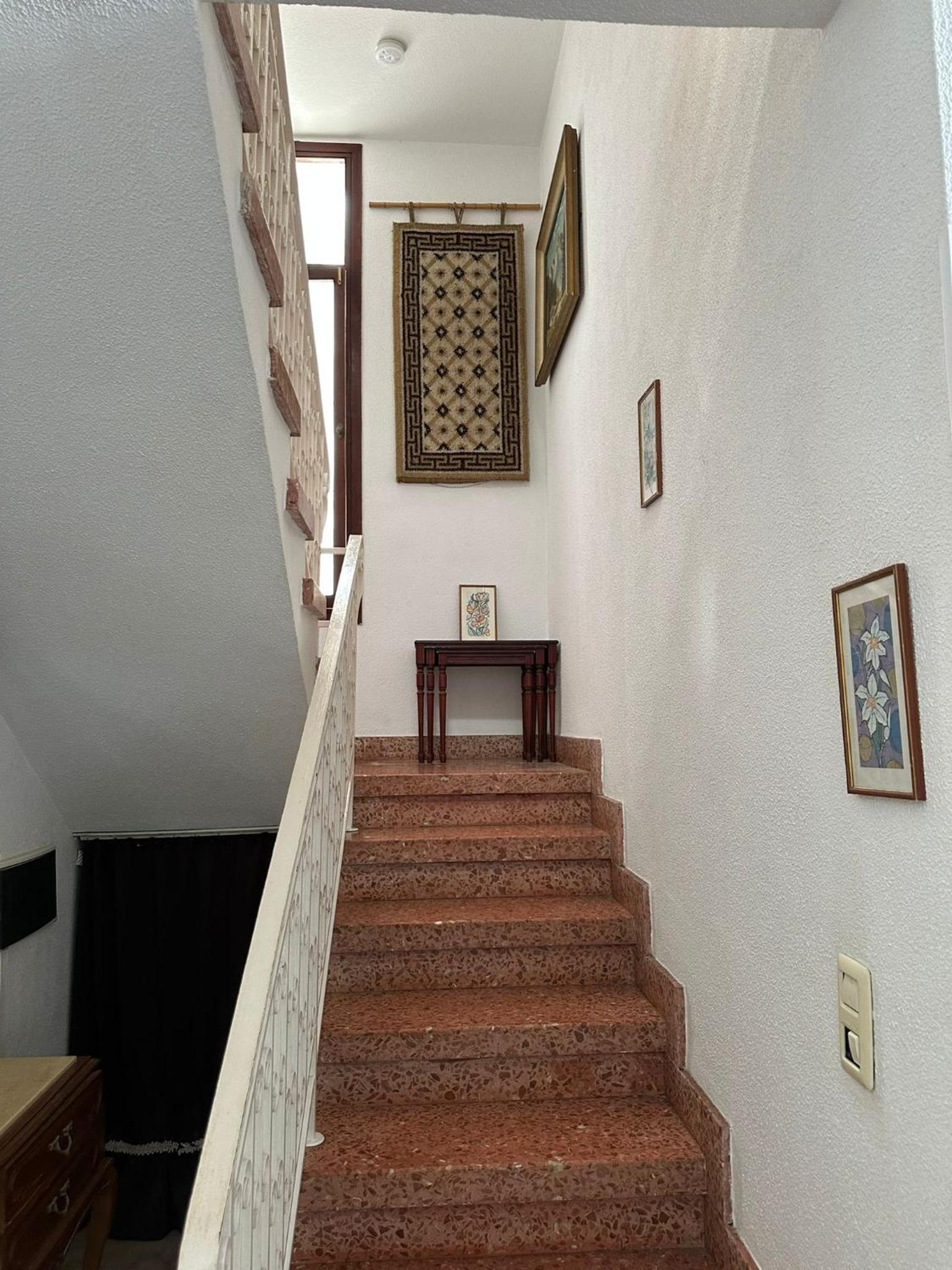 Villa Monkey