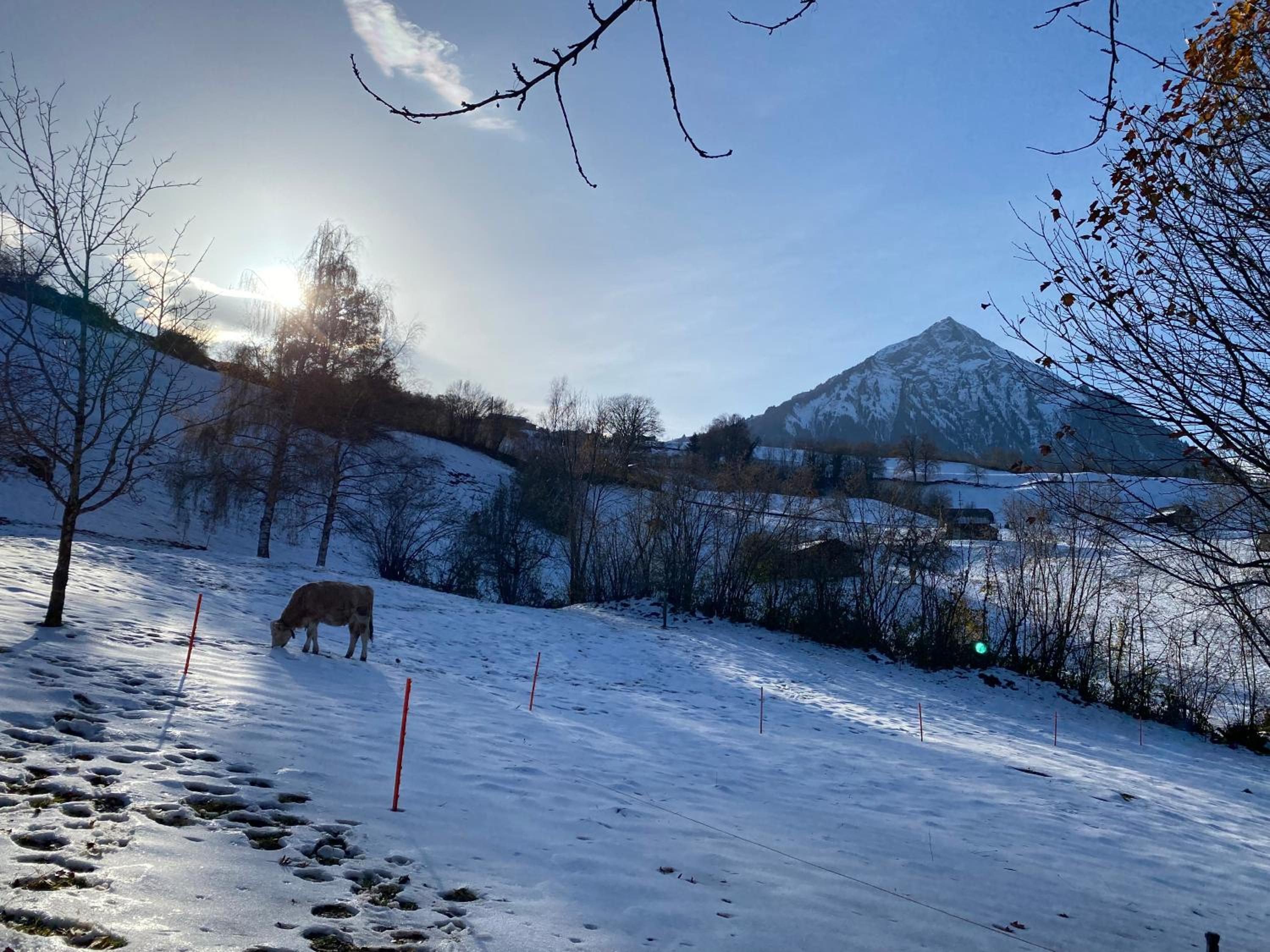 Herrlicher Blick auf Berge und See view 5