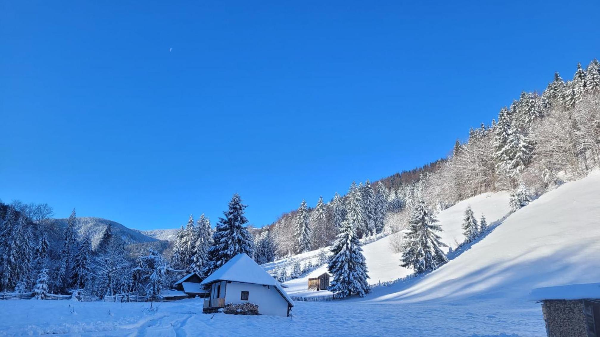 Căsuța Dor de Munte view 4
