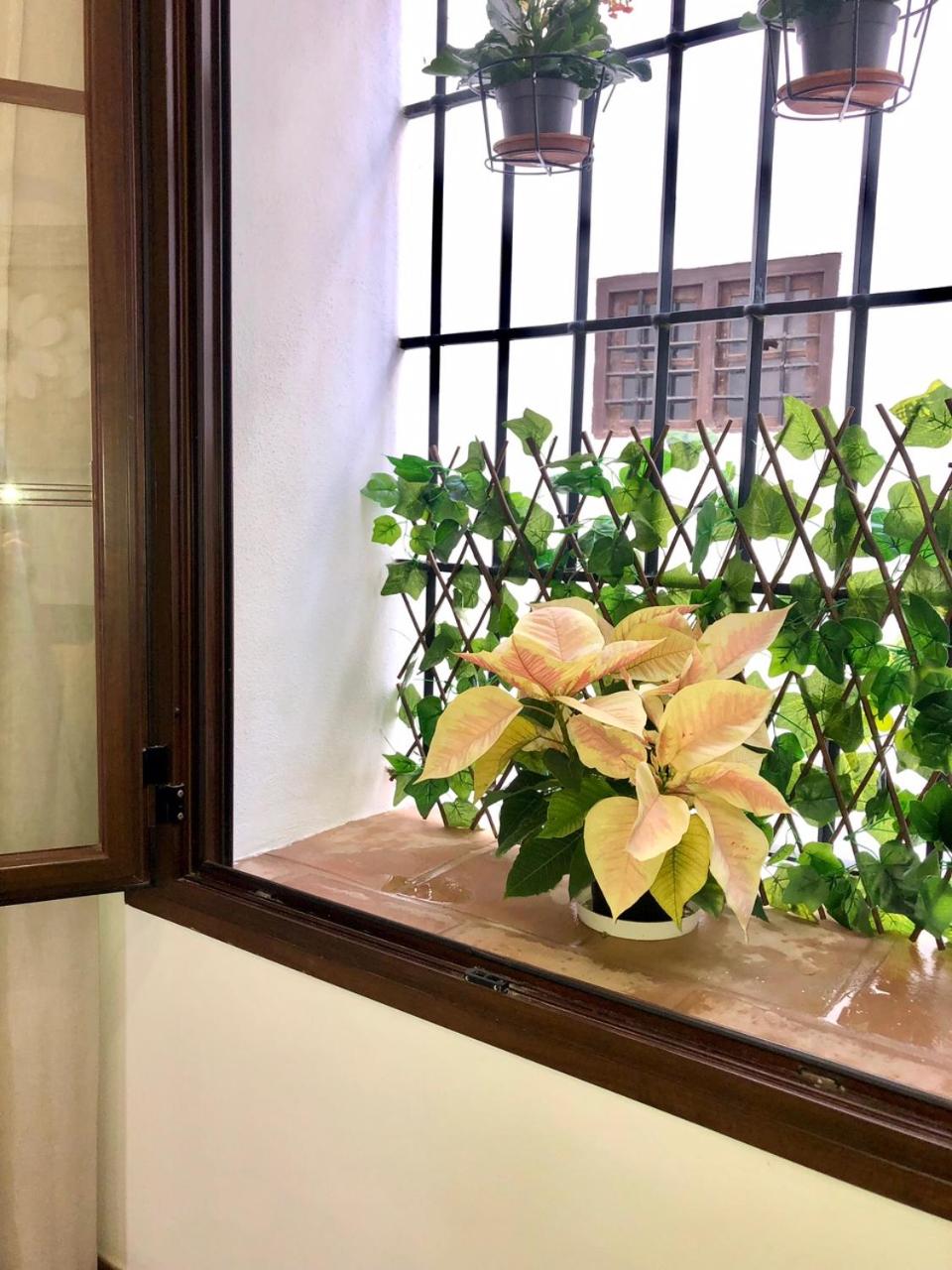 Apartamento El Museo Écija
