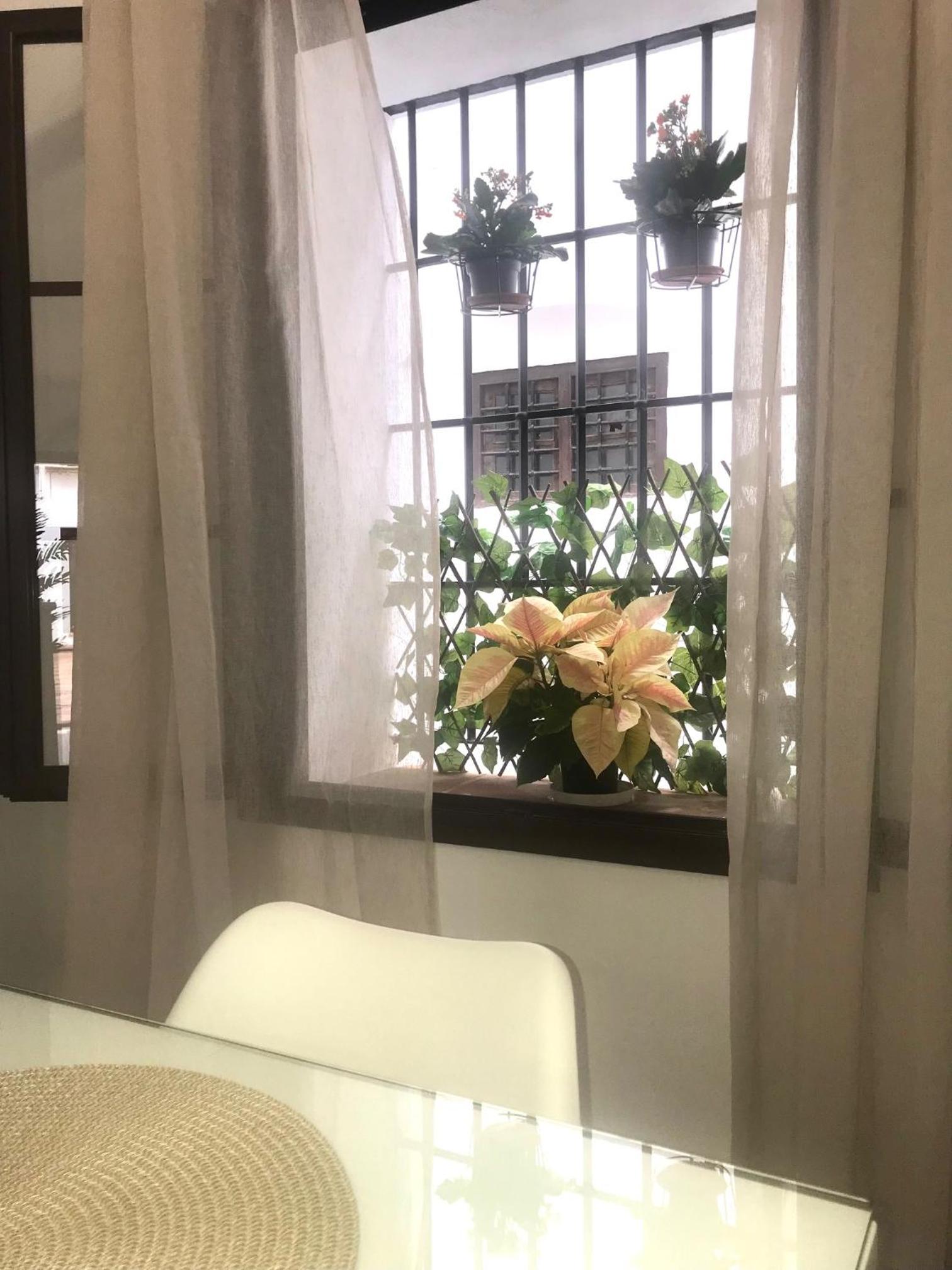 Apartamento El Museo Écija
