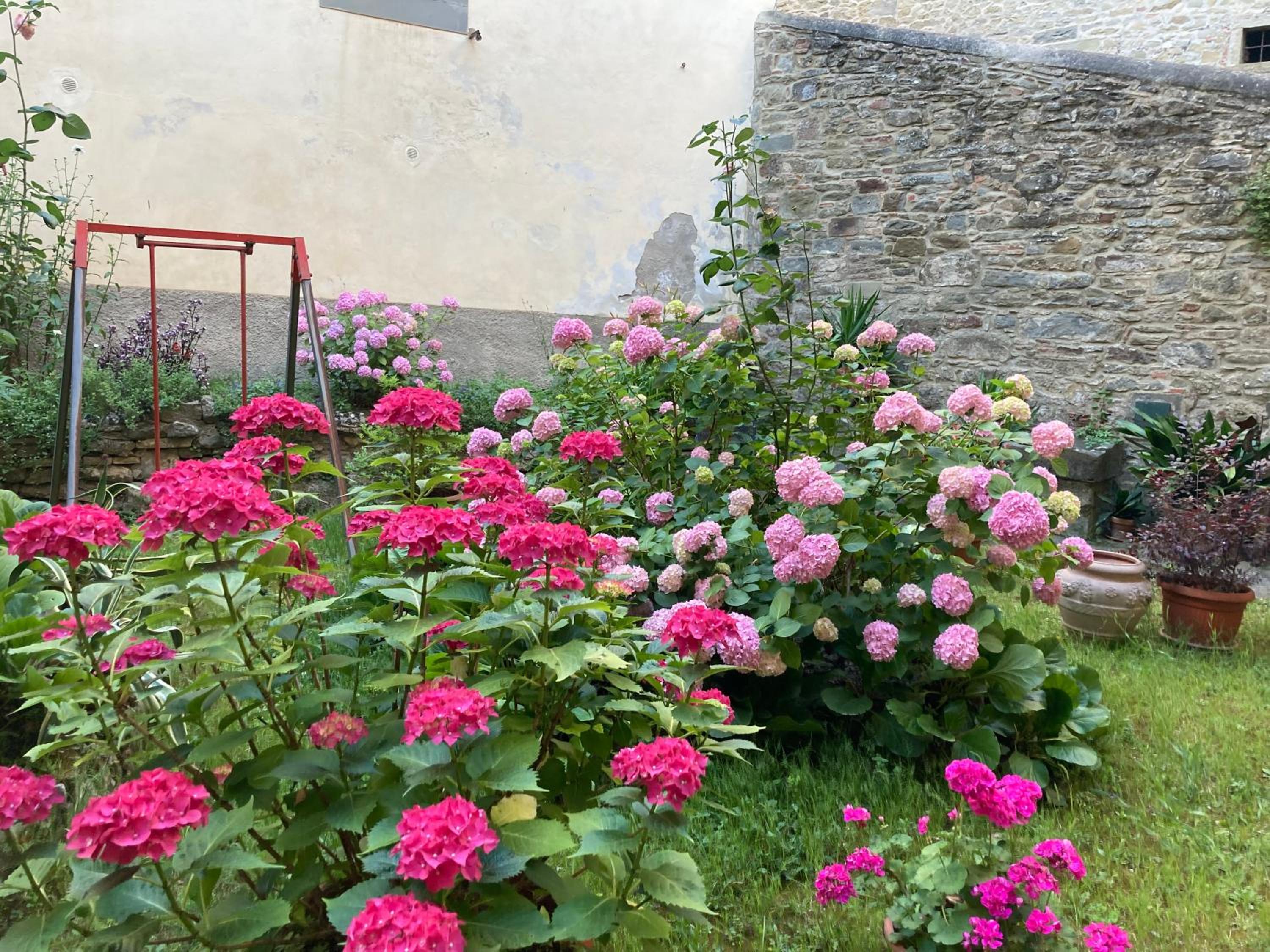 AdaeSaboCortona