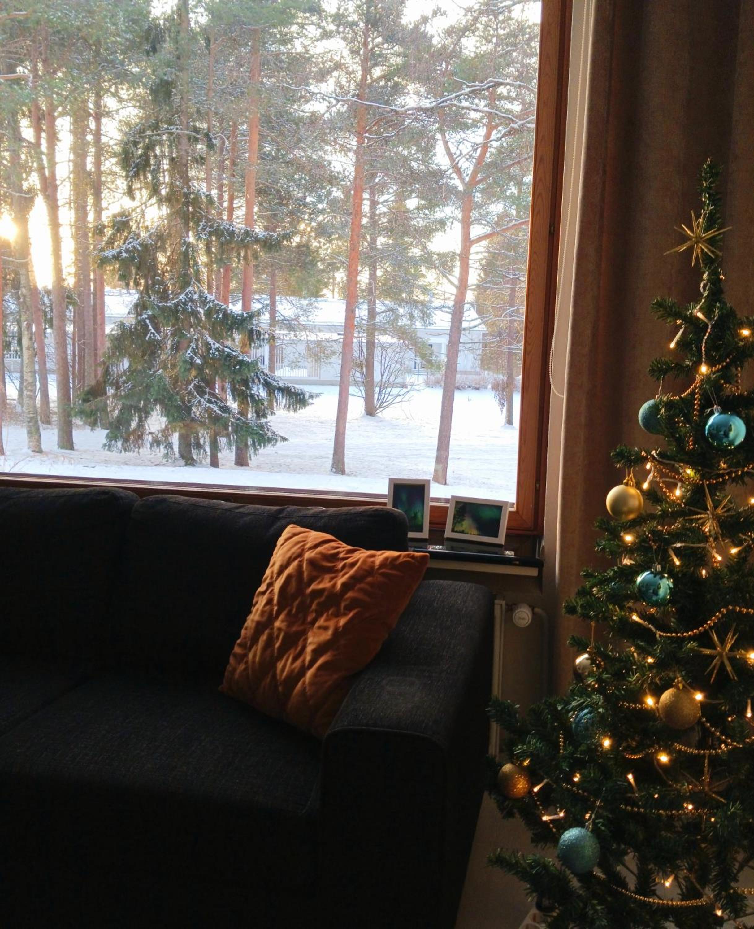 Studio Apartment 31m2 view 3