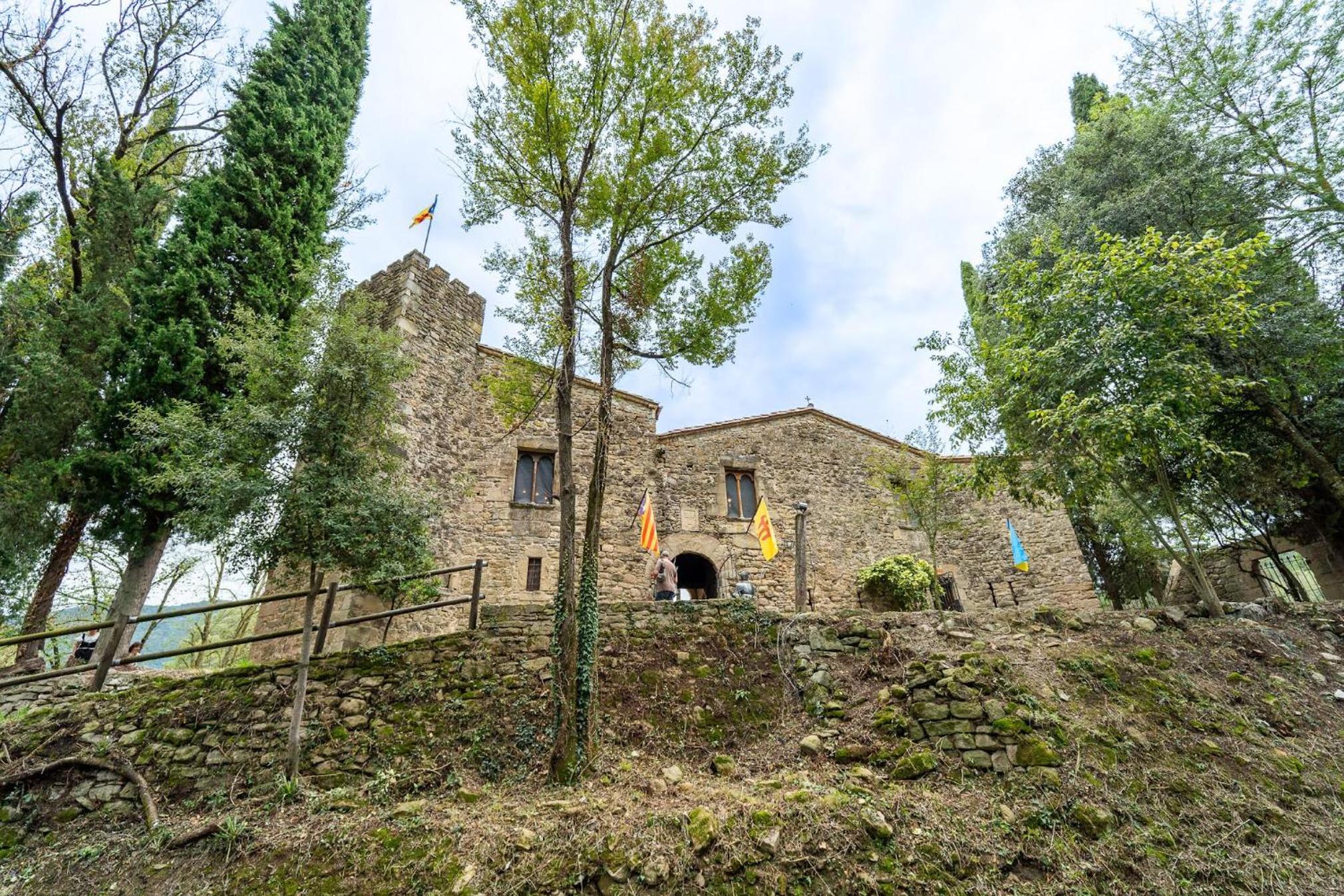 Castell de Falgons