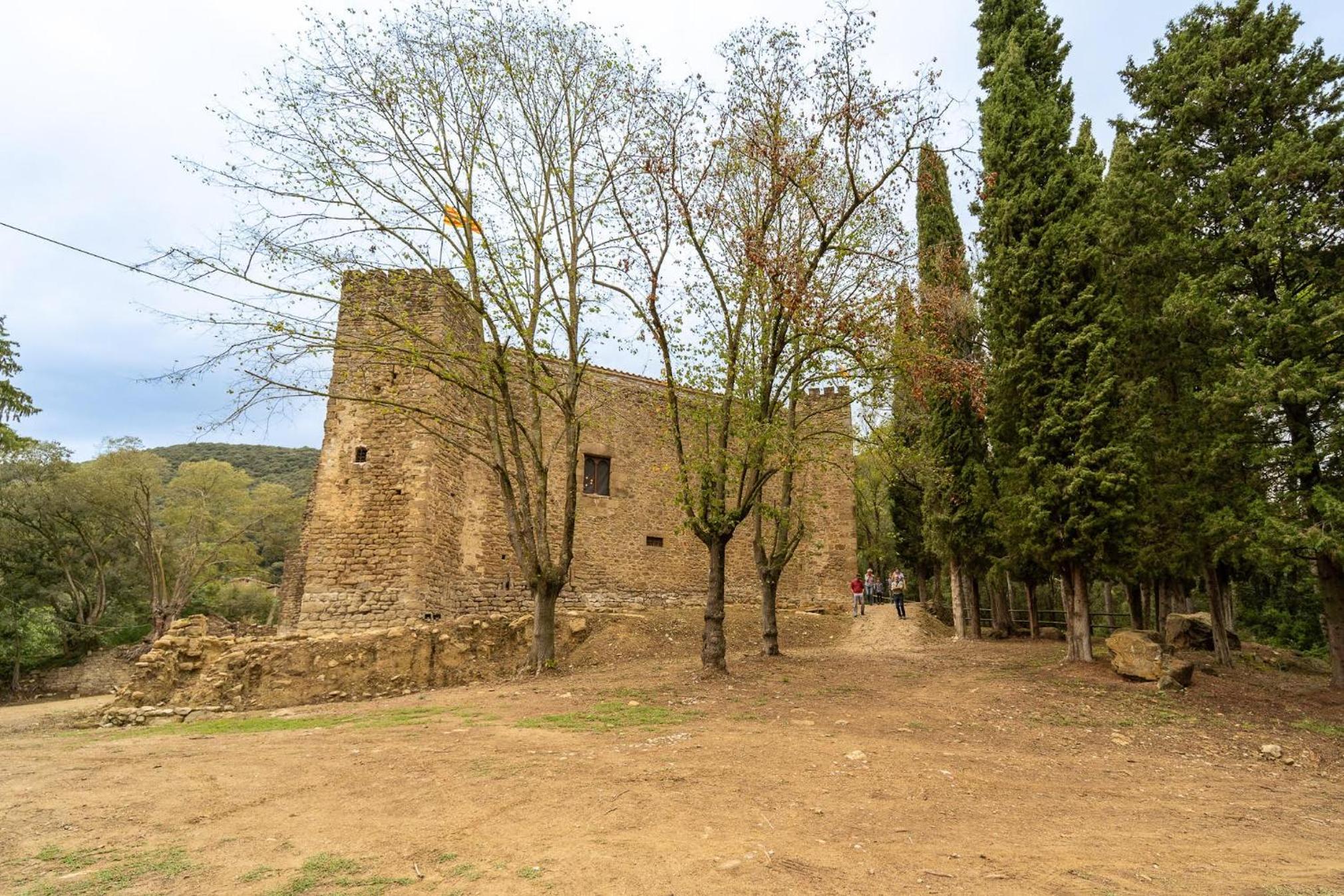 Castell de Falgons