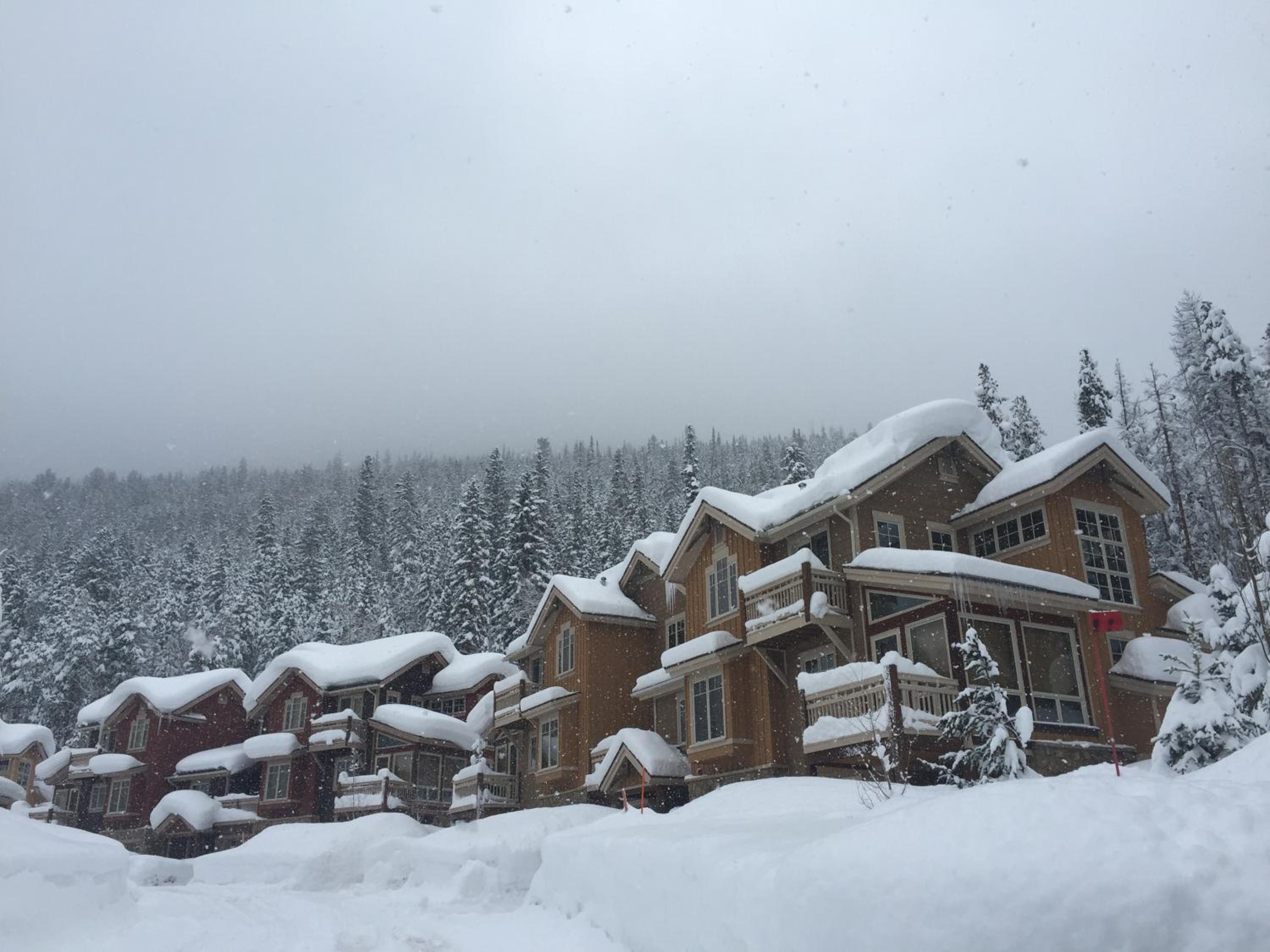 Settlers Creek 6535 by SummitCove Lodging