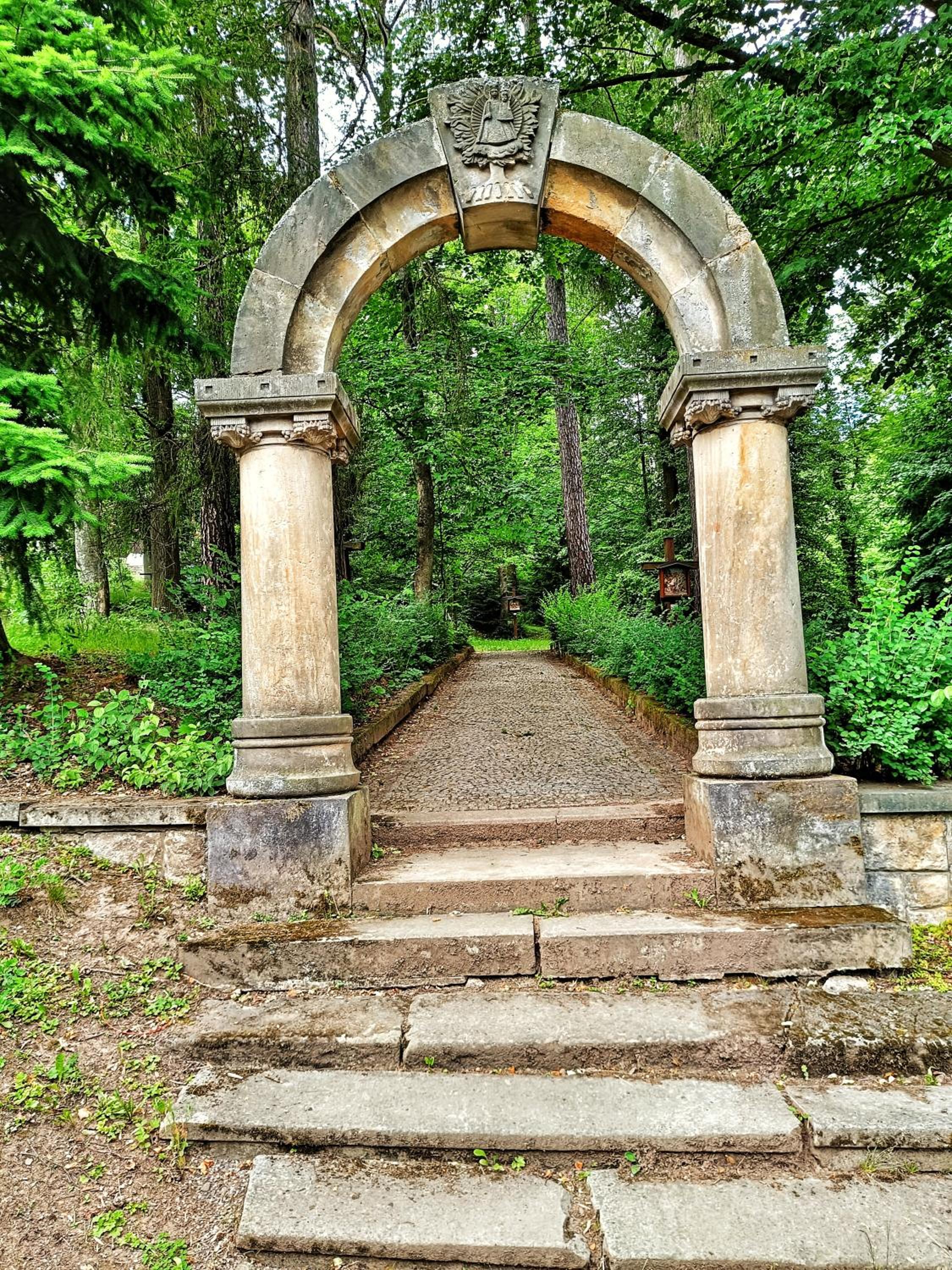 Chaloupka pod lípou