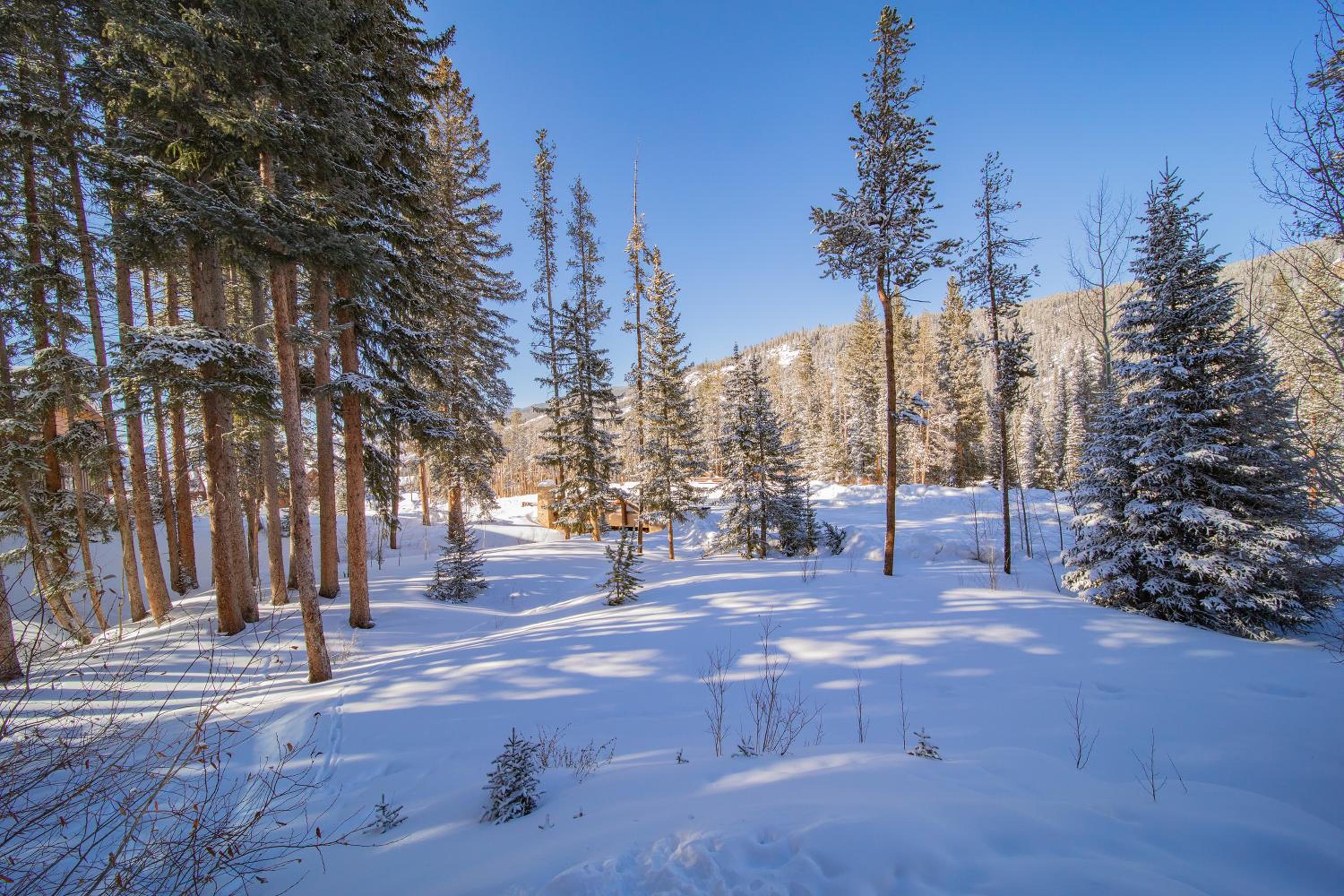 Settlers Creek 6565 by SummitCove Lodging