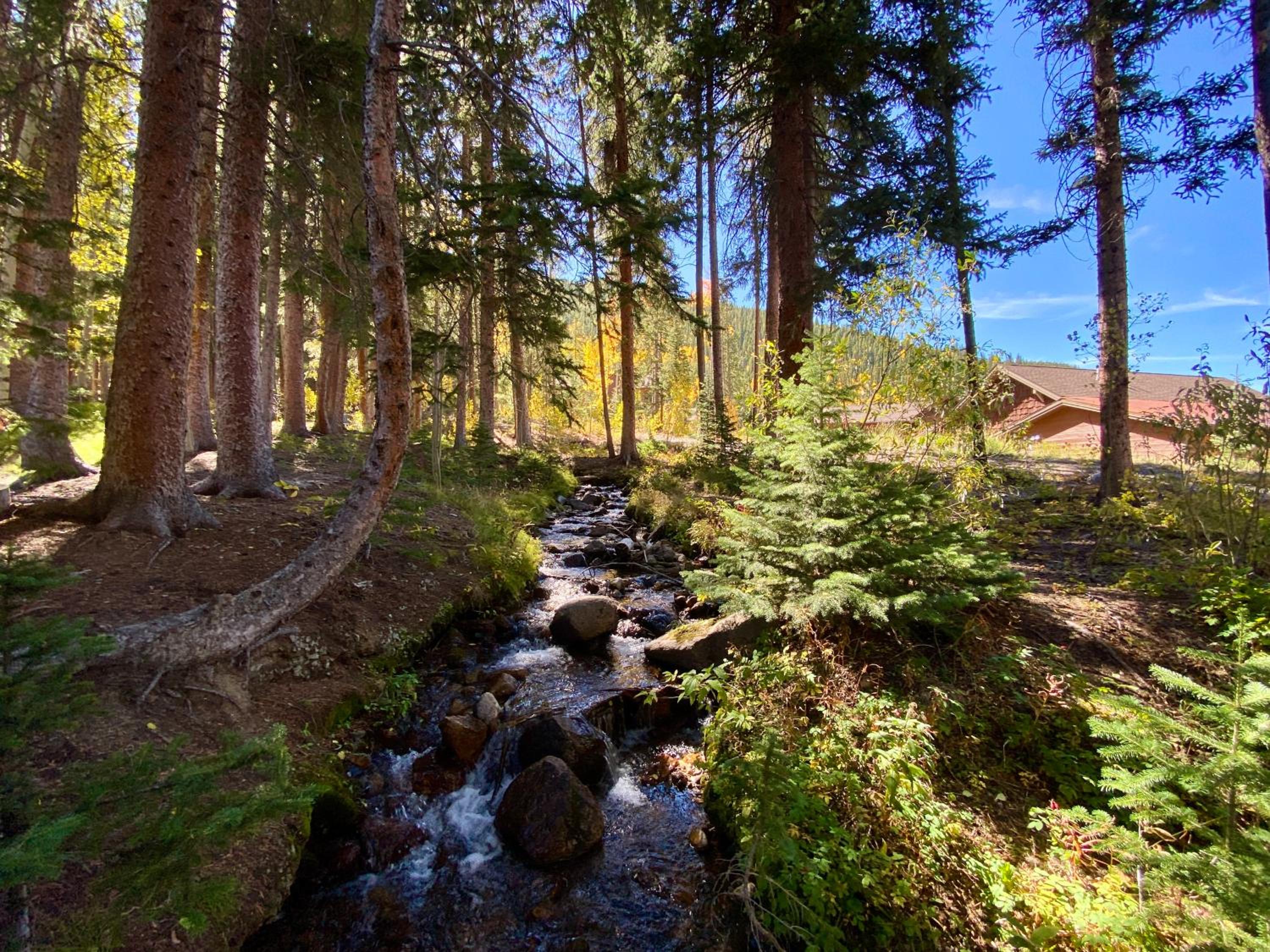 Settlers Creek 6565 by SummitCove Lodging