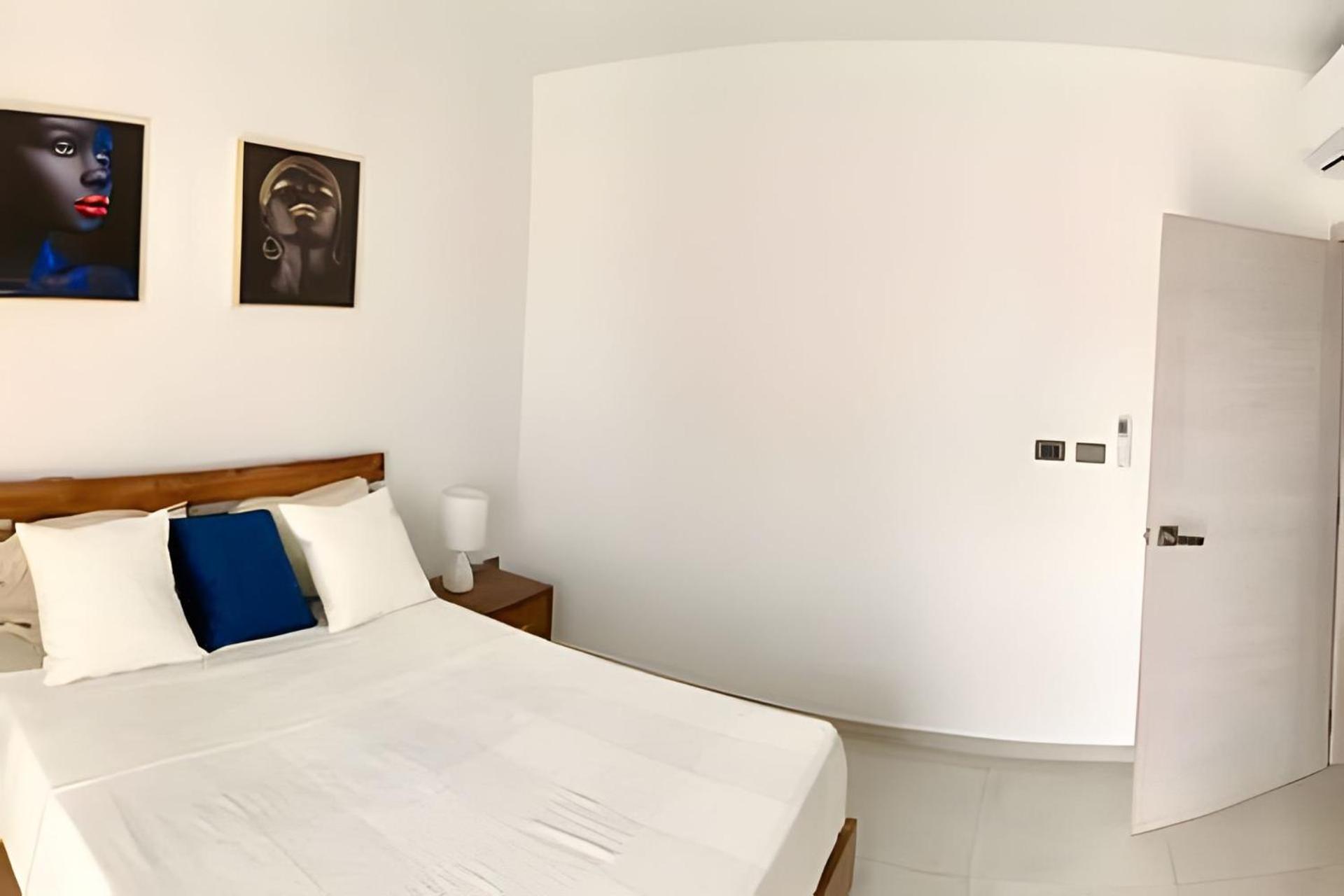 Estrella Dominicus Advantage