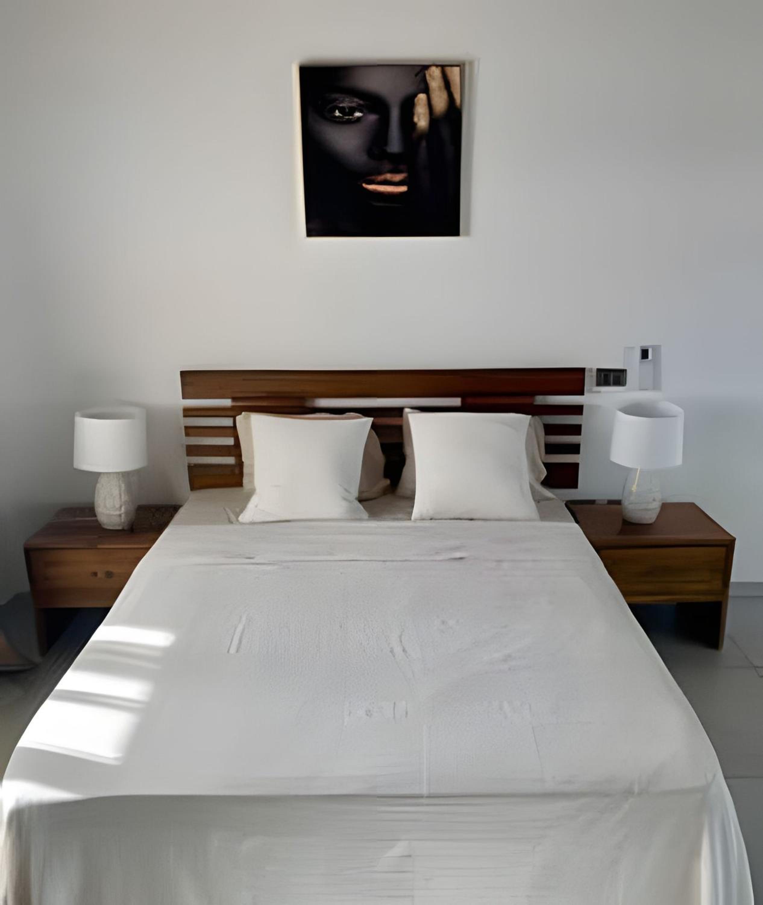 Estrella Dominicus Advantage