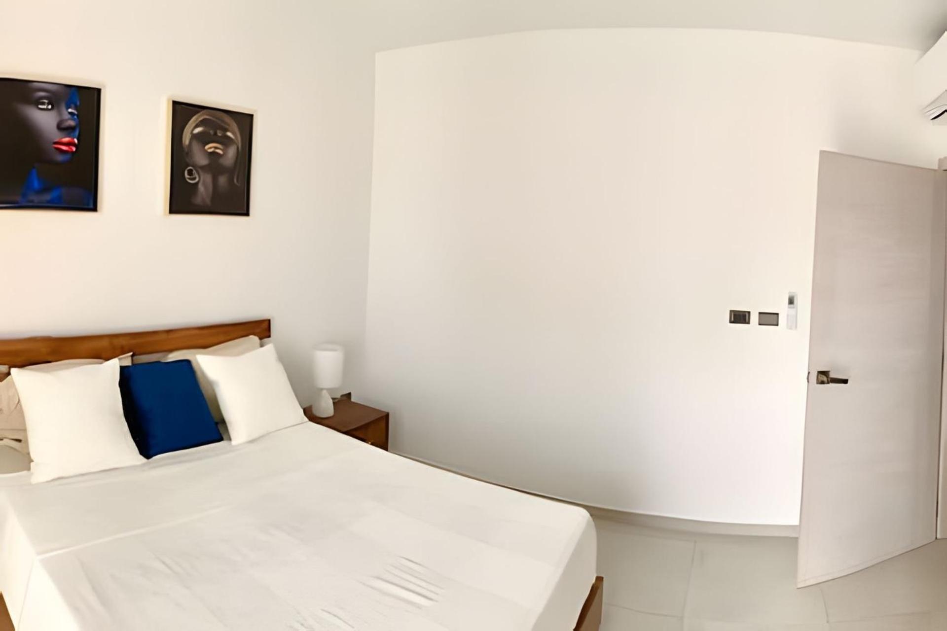Estrella Dominicus Advantage