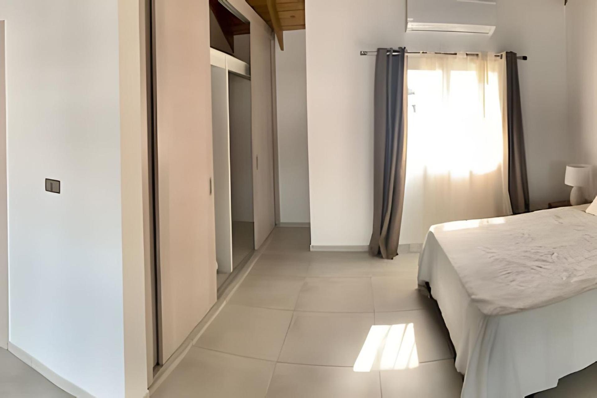 Estrella Dominicus Advantage