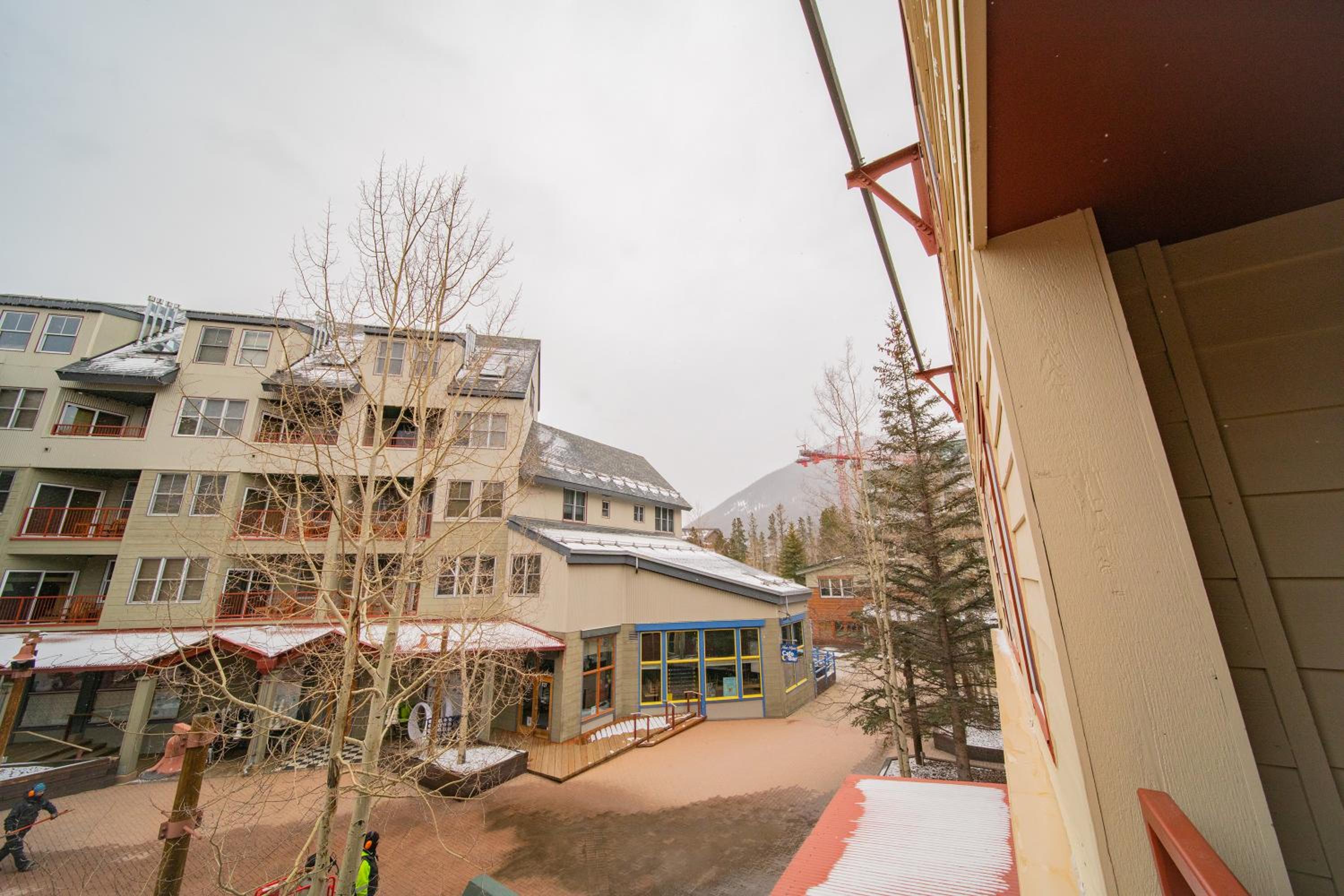 Photo 44