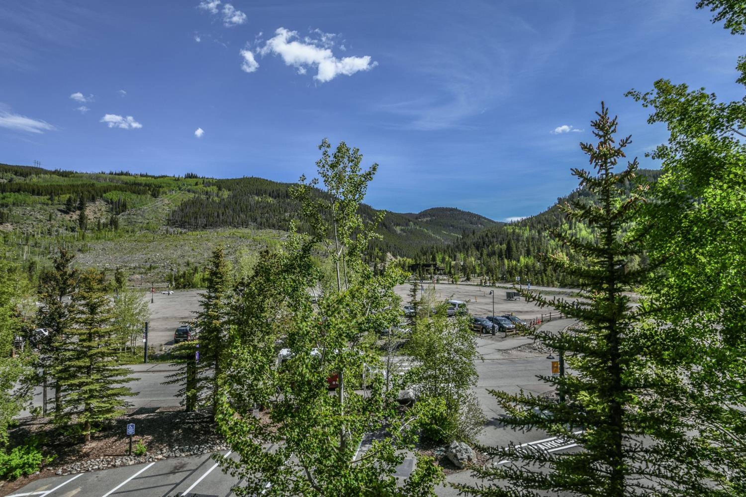 Silver Mill 8226 by SummitCove Lodging