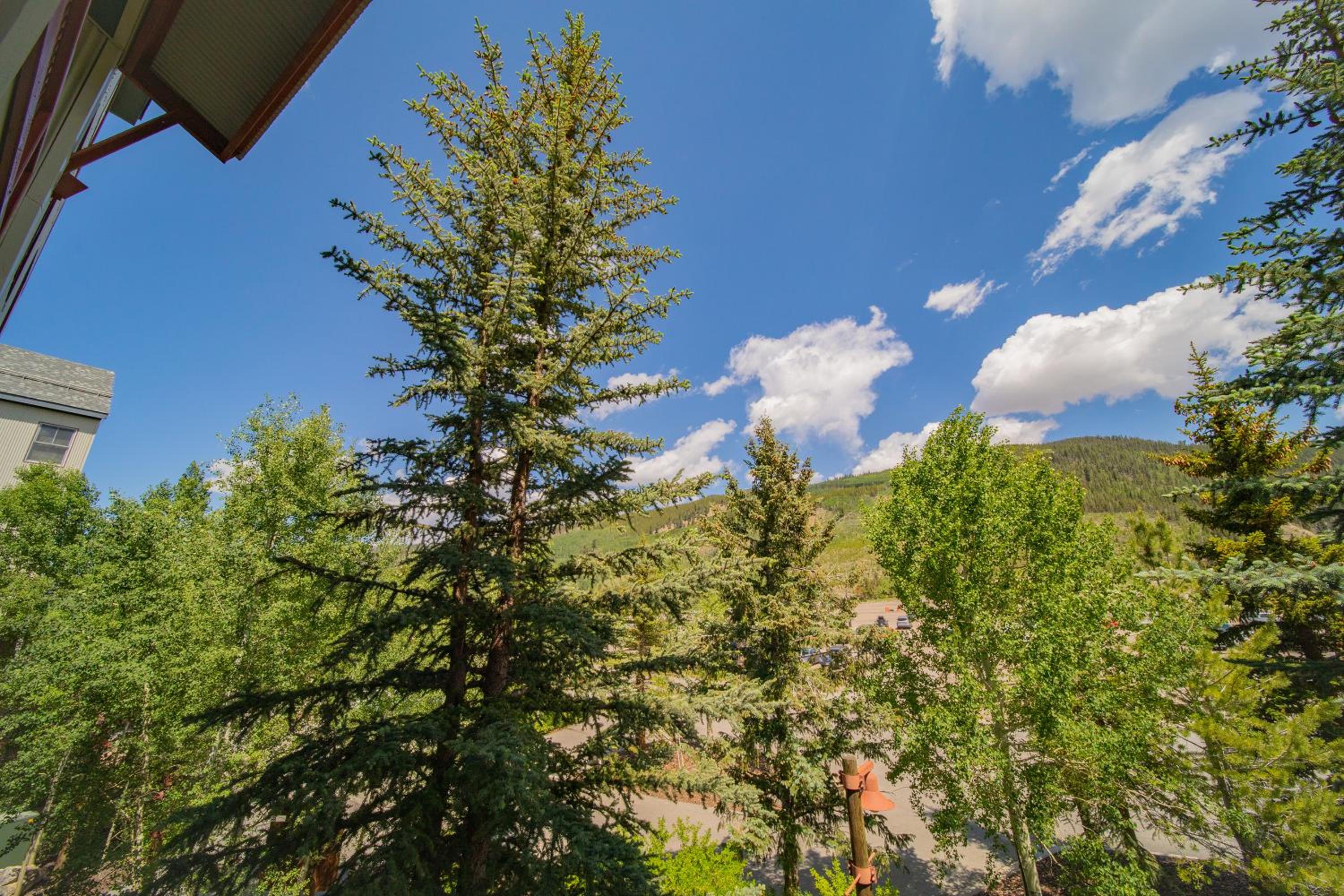 Silver Mill 8234 by SummitCove Lodging