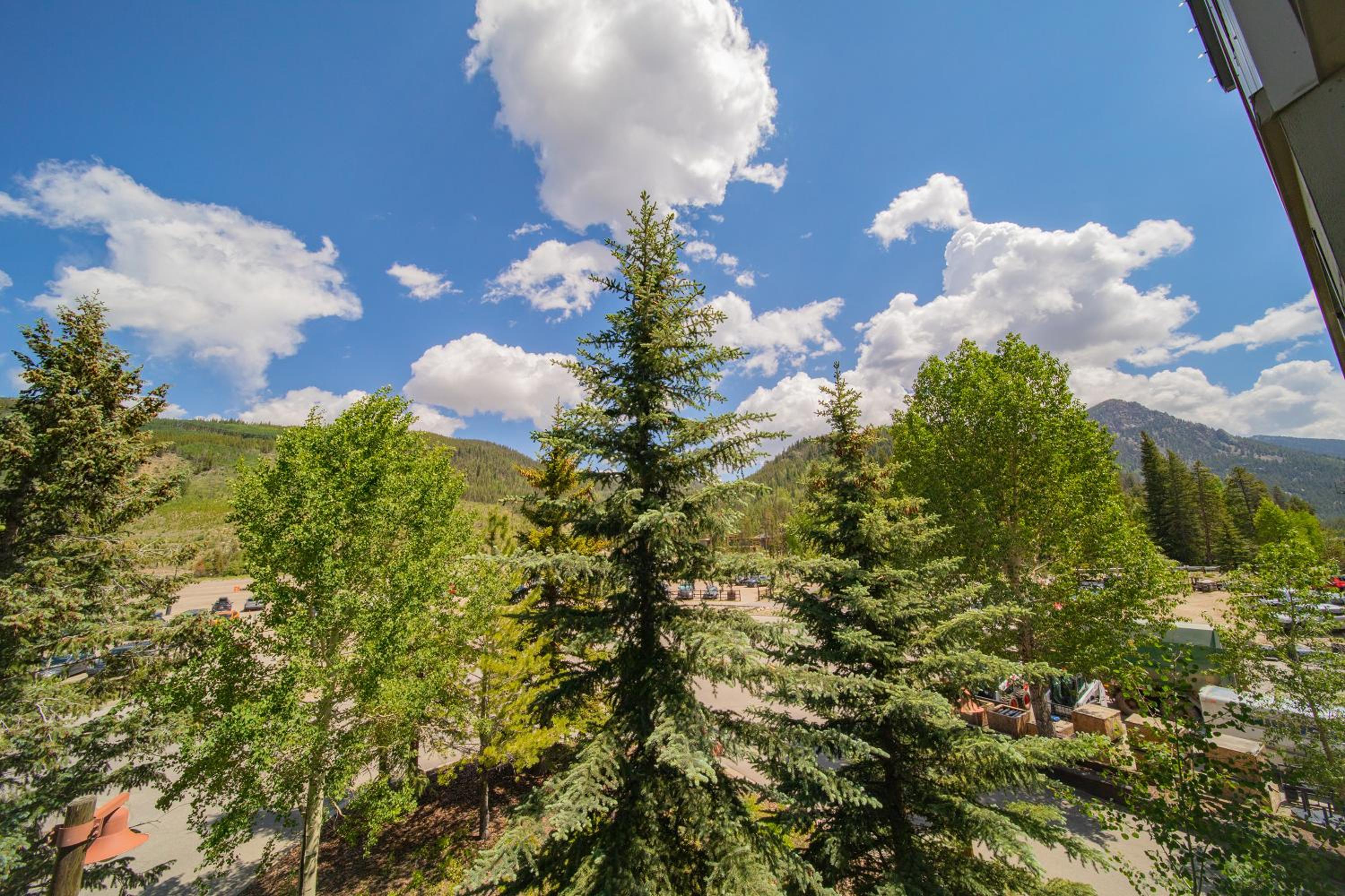 Silver Mill 8234 by SummitCove Lodging