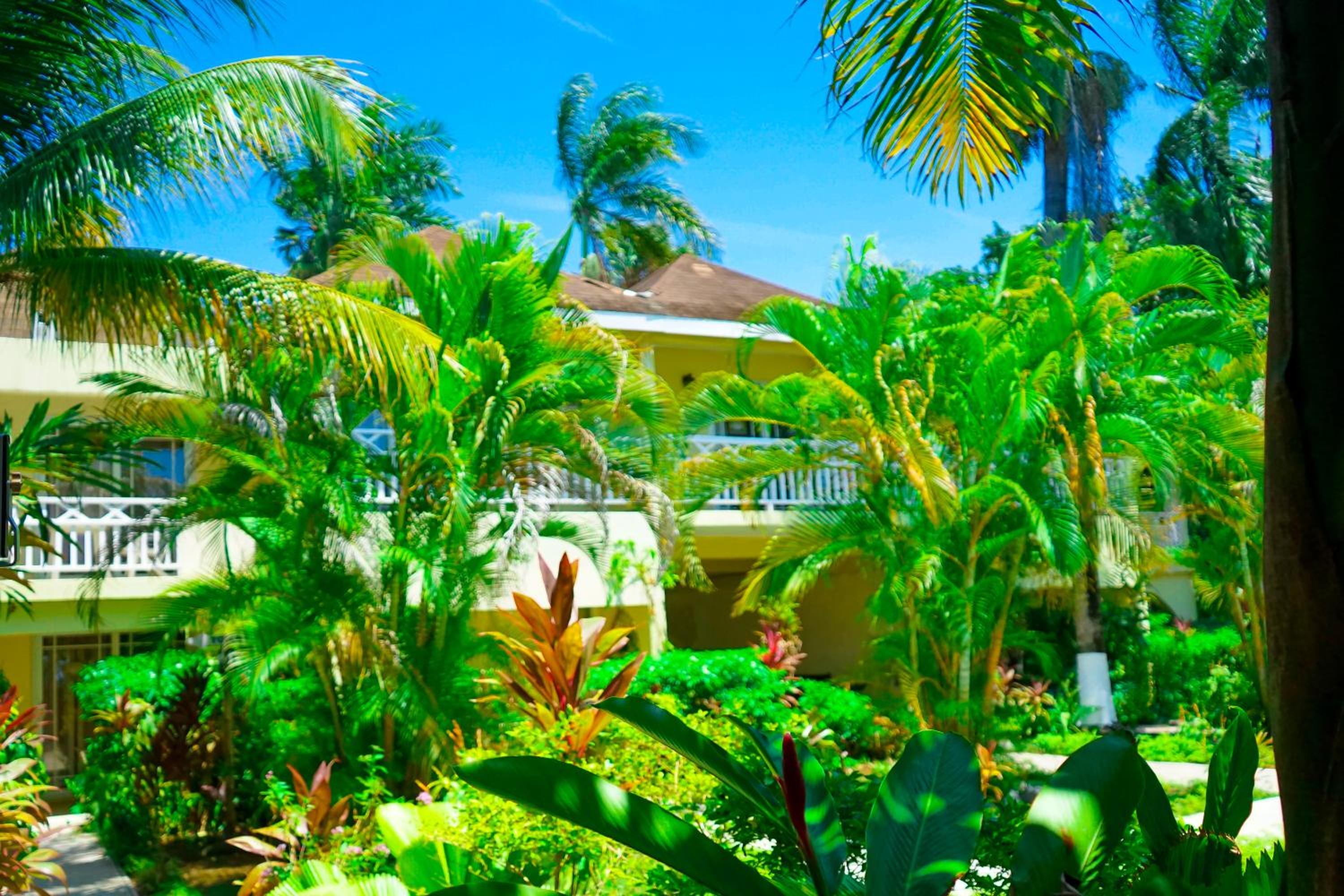 AYURVEDA RESORT