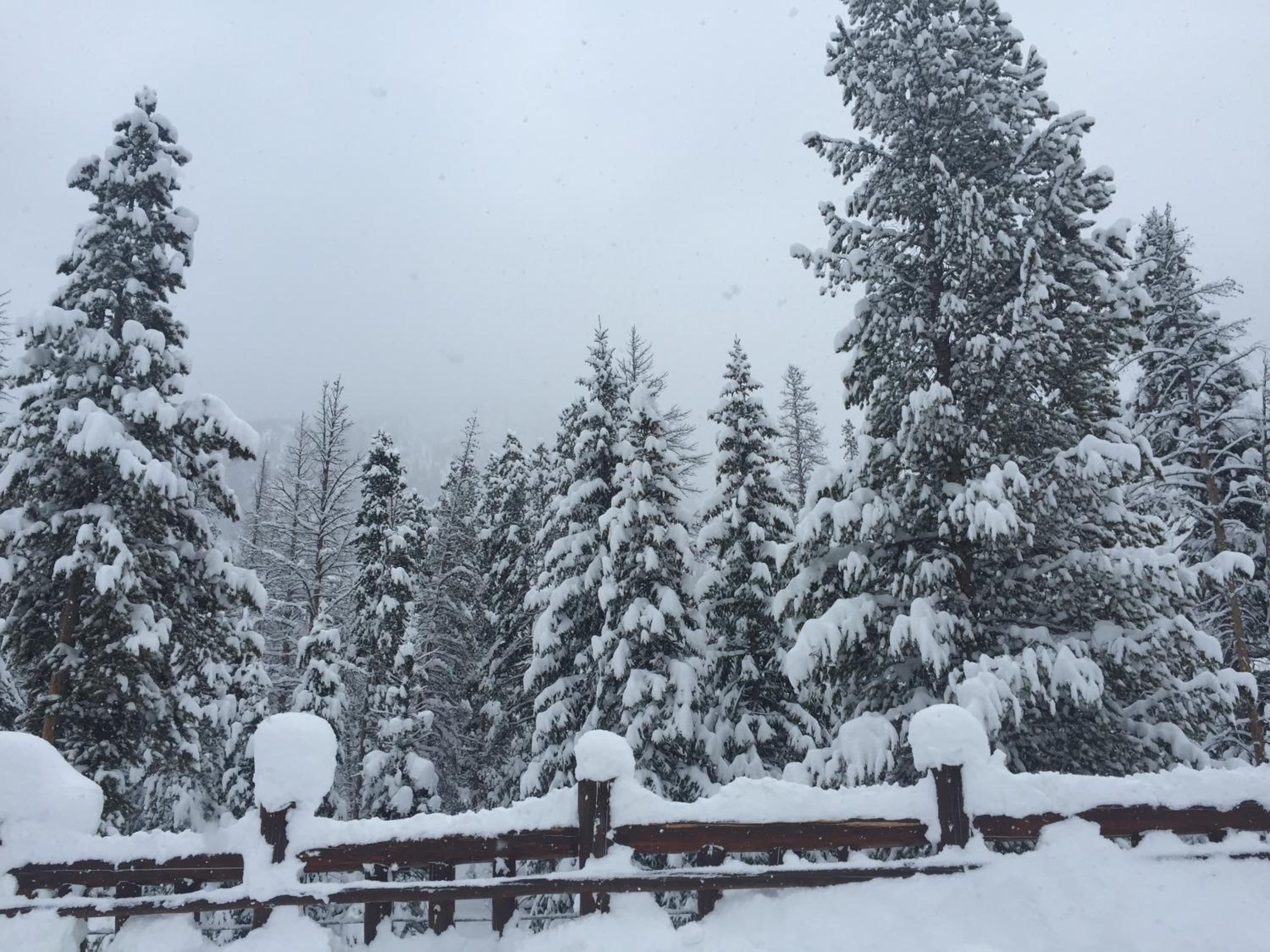 Ski Tip Ranch 8701 by SummitCove Lodging
