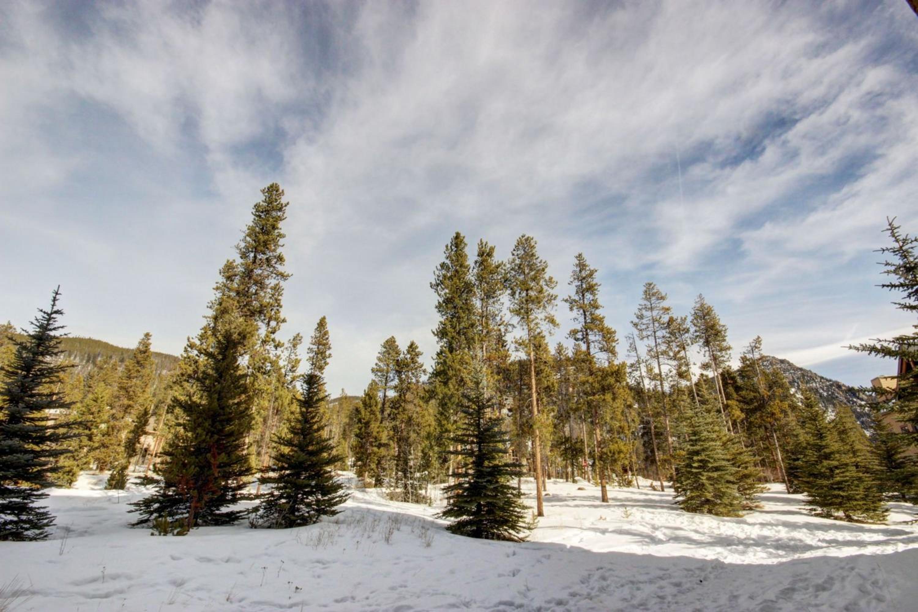 Springs 8803 by SummitCove Lodging in Colorado