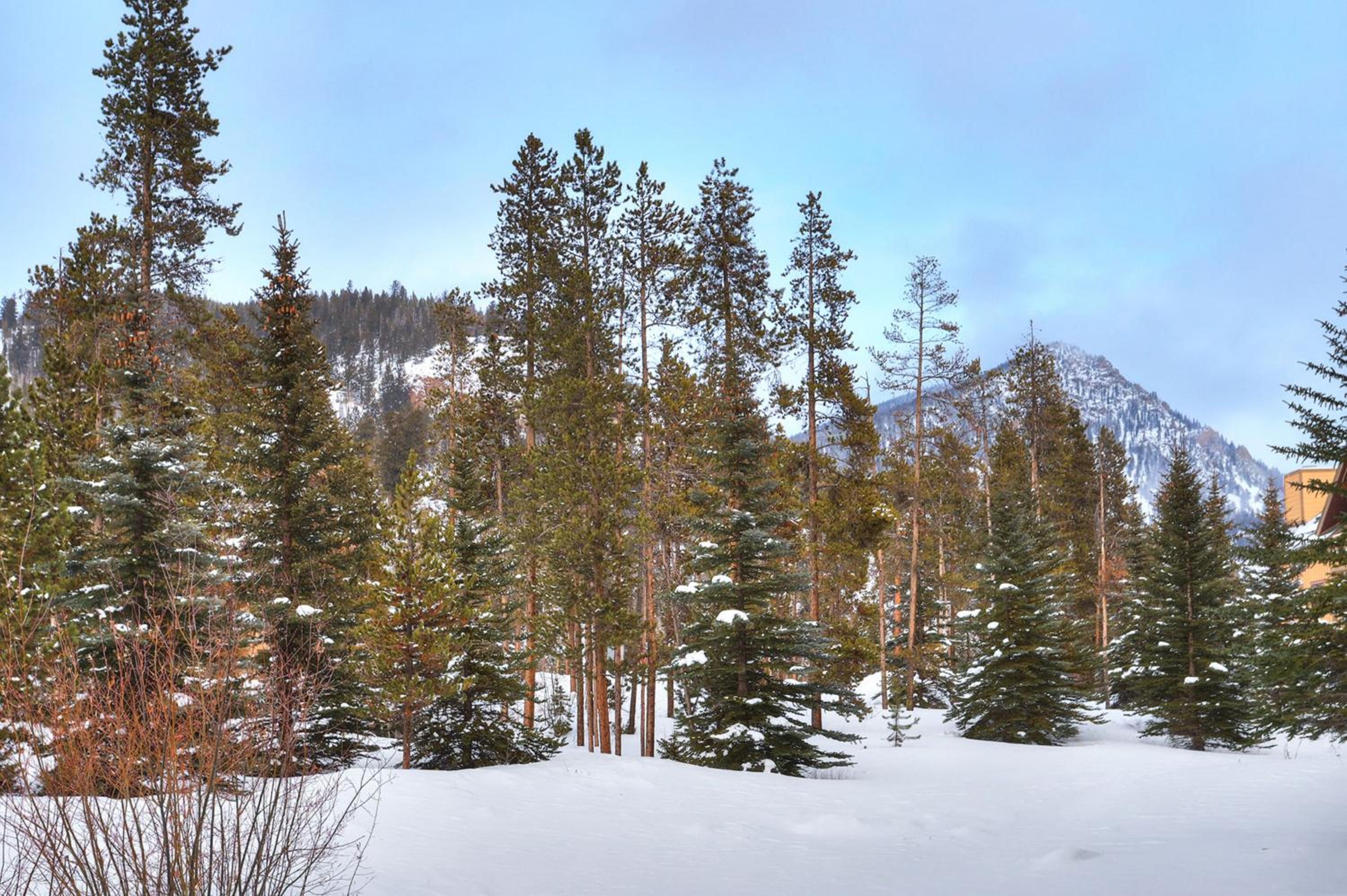 Springs 8805 by SummitCove Lodging in Colorado