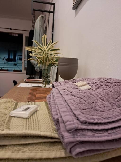 Exclusive Studio in Rio de Janeiro Brasil