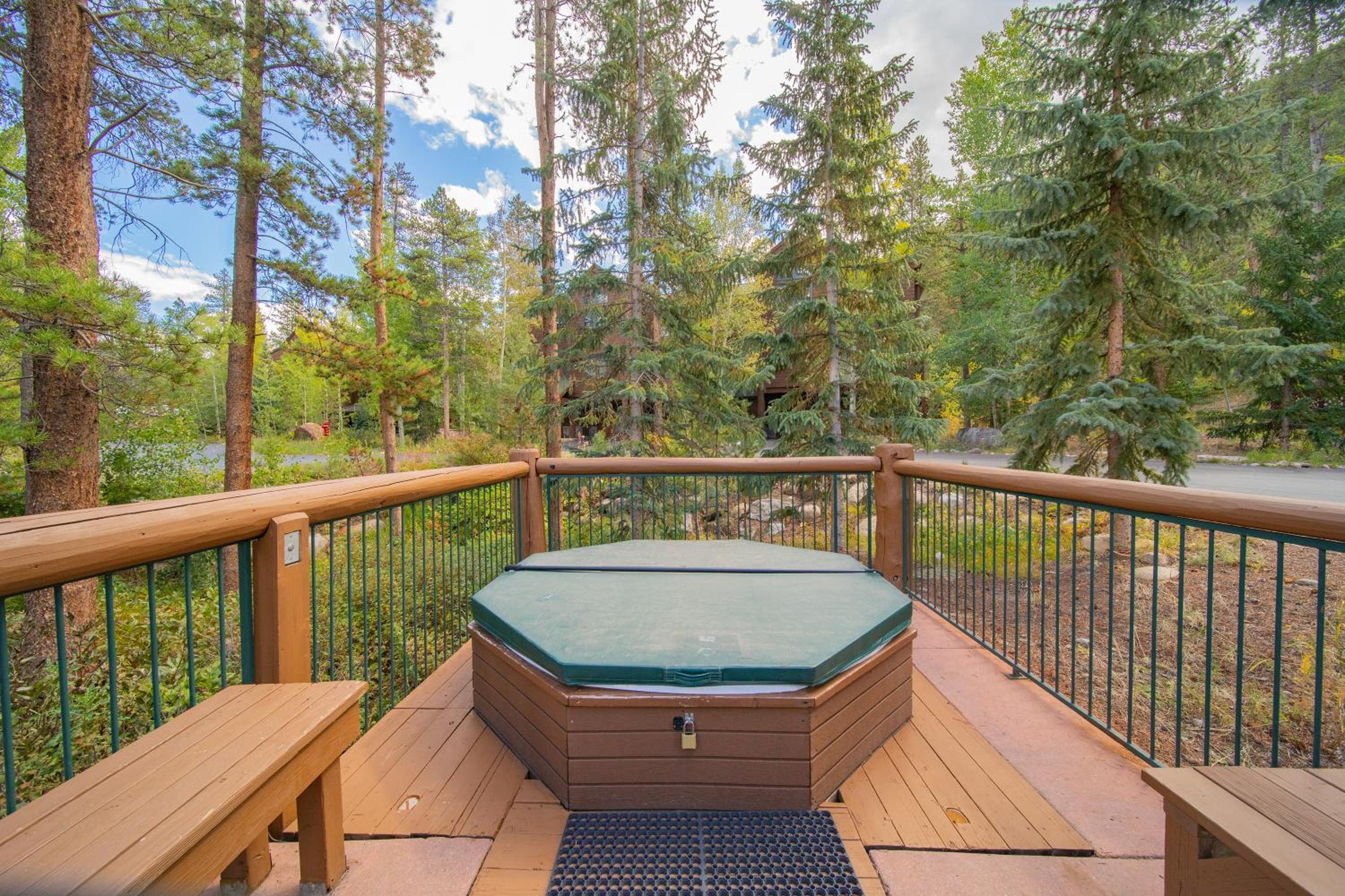 Starfire 1972 by SummitCove Lodging view 4