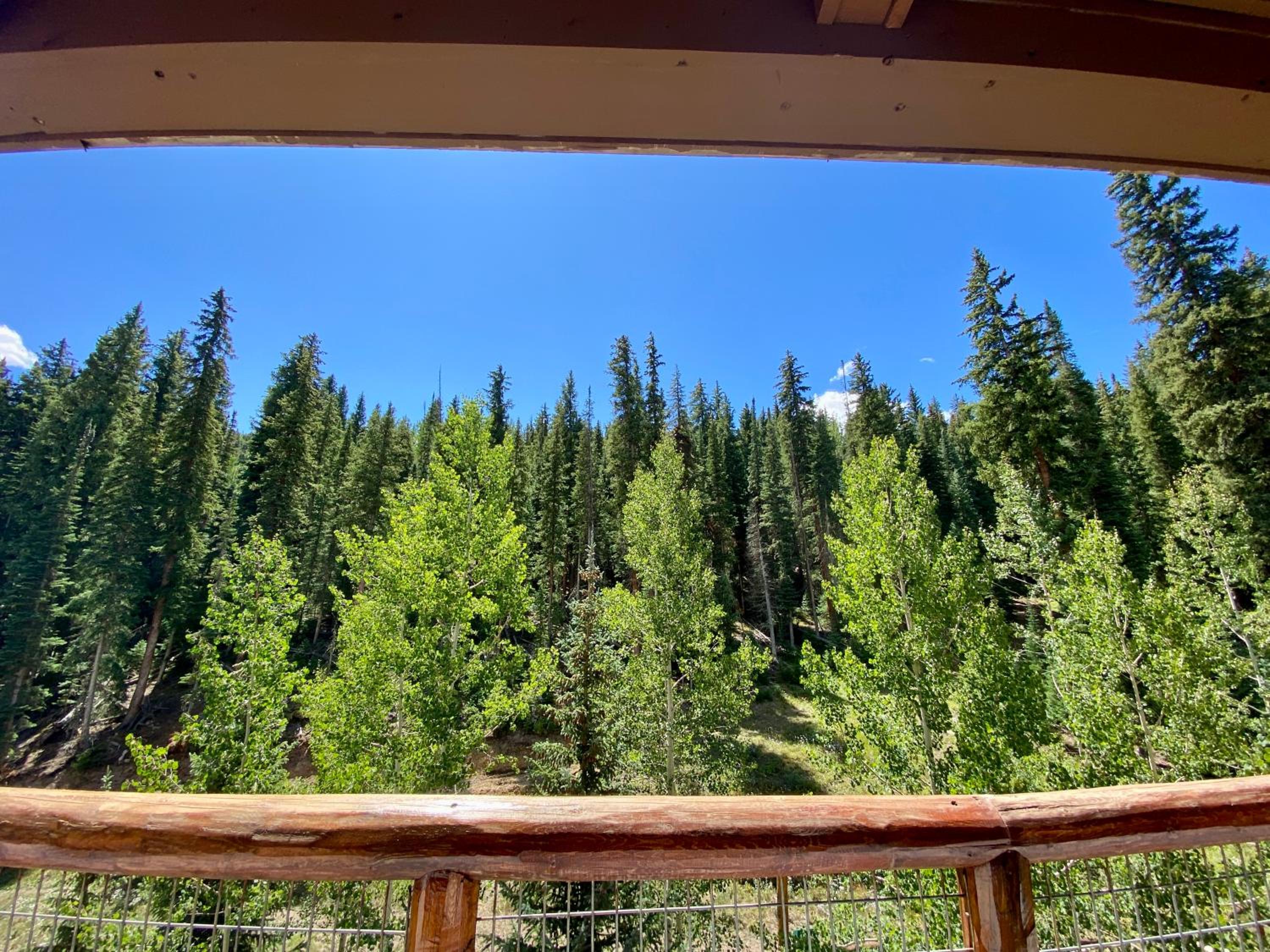 Timbers 3080 by SummitCove Lodging